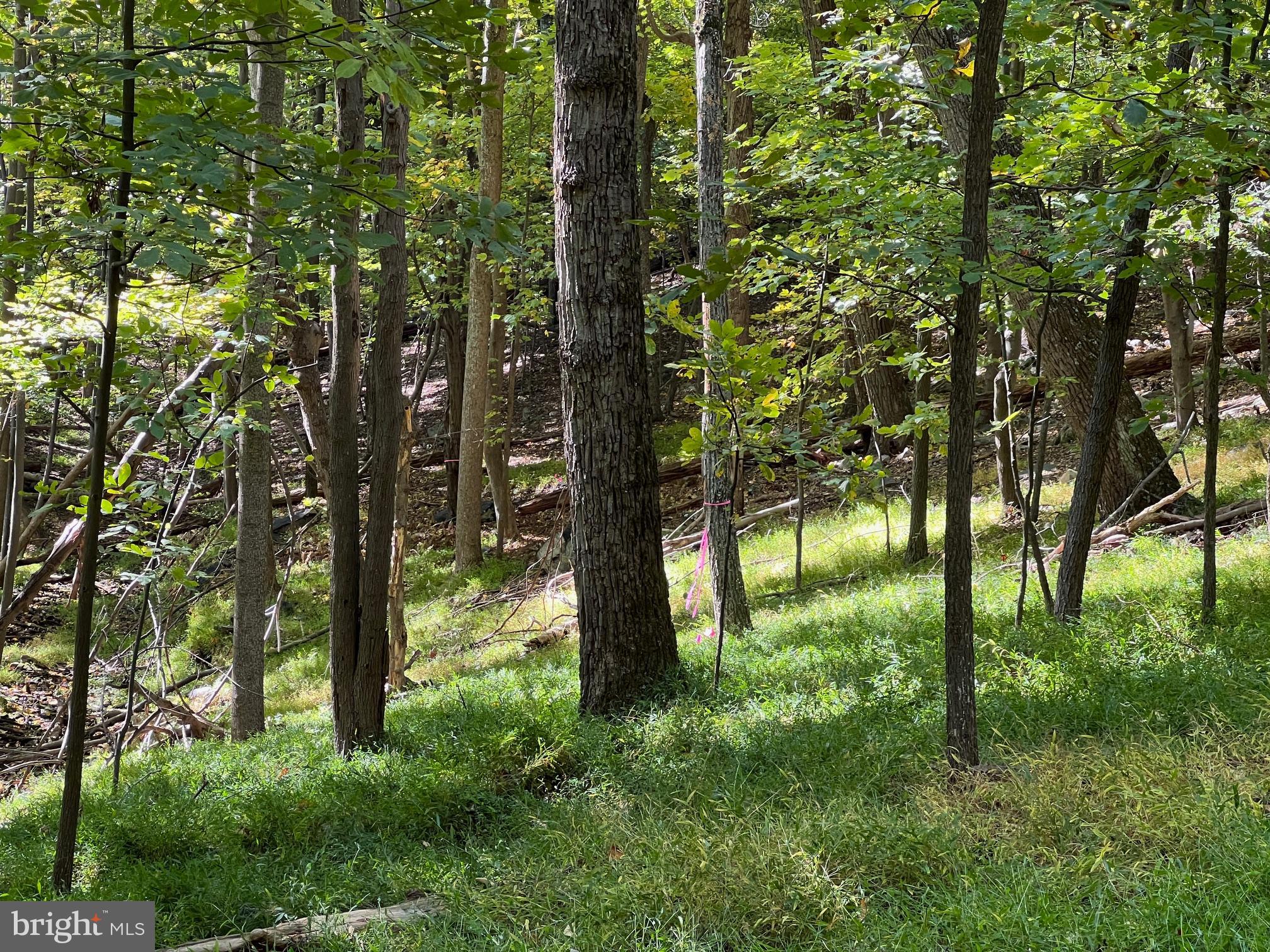 BULL RUN MOUNTAIN ESTATE - Land