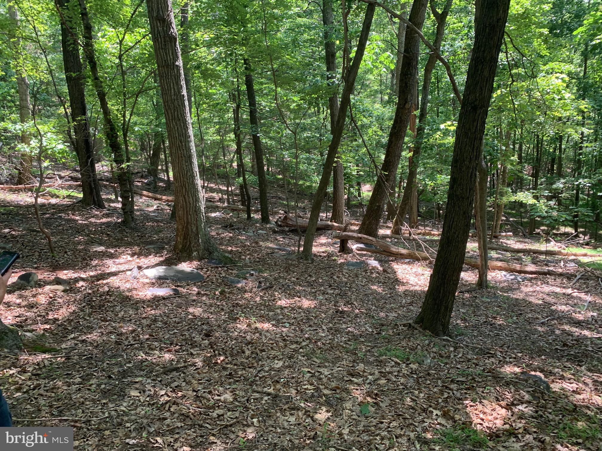 BULL RUN MOUNTAIN ESTATE - Land