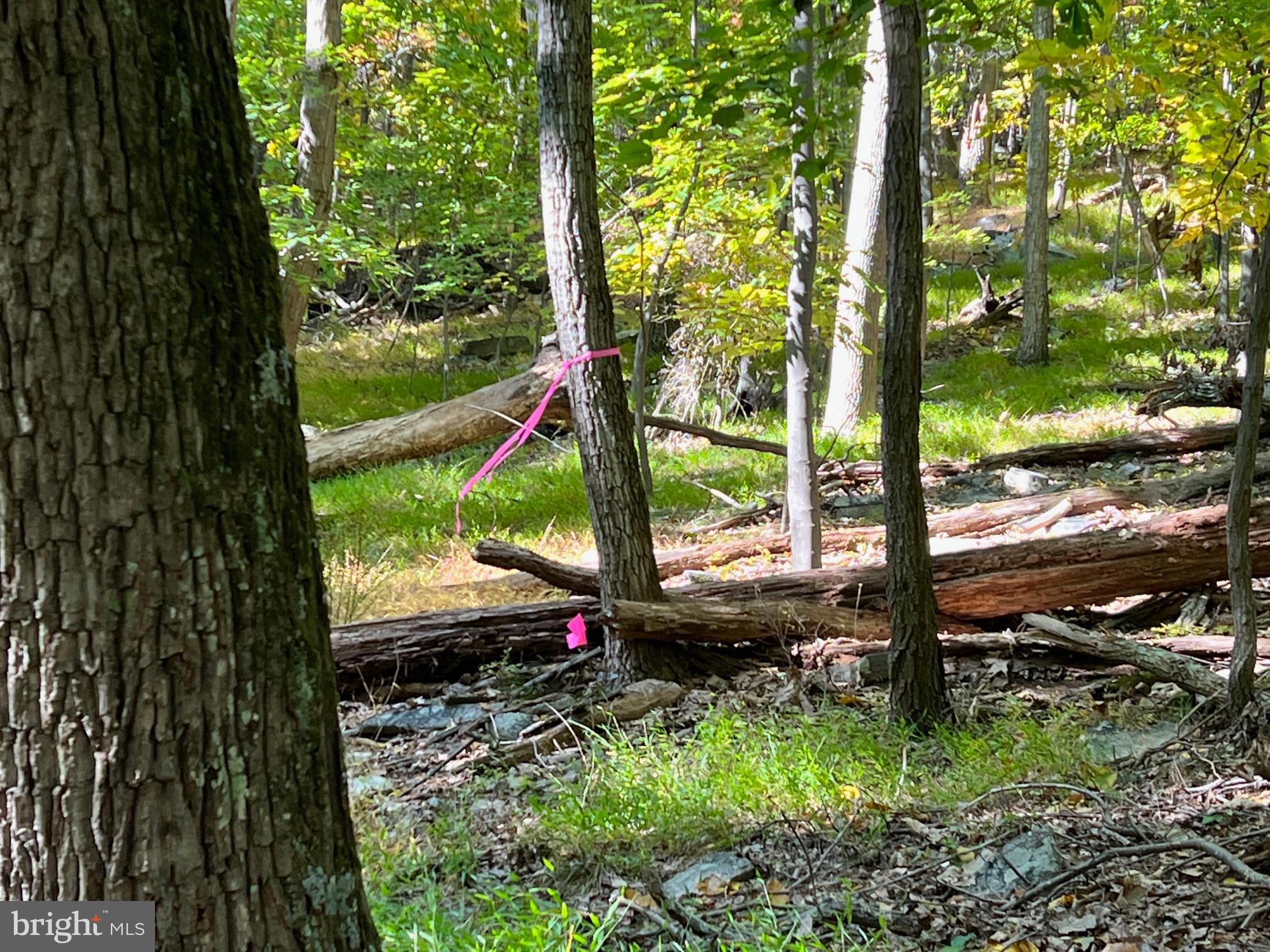 BULL RUN MOUNTAIN ESTATE - Land