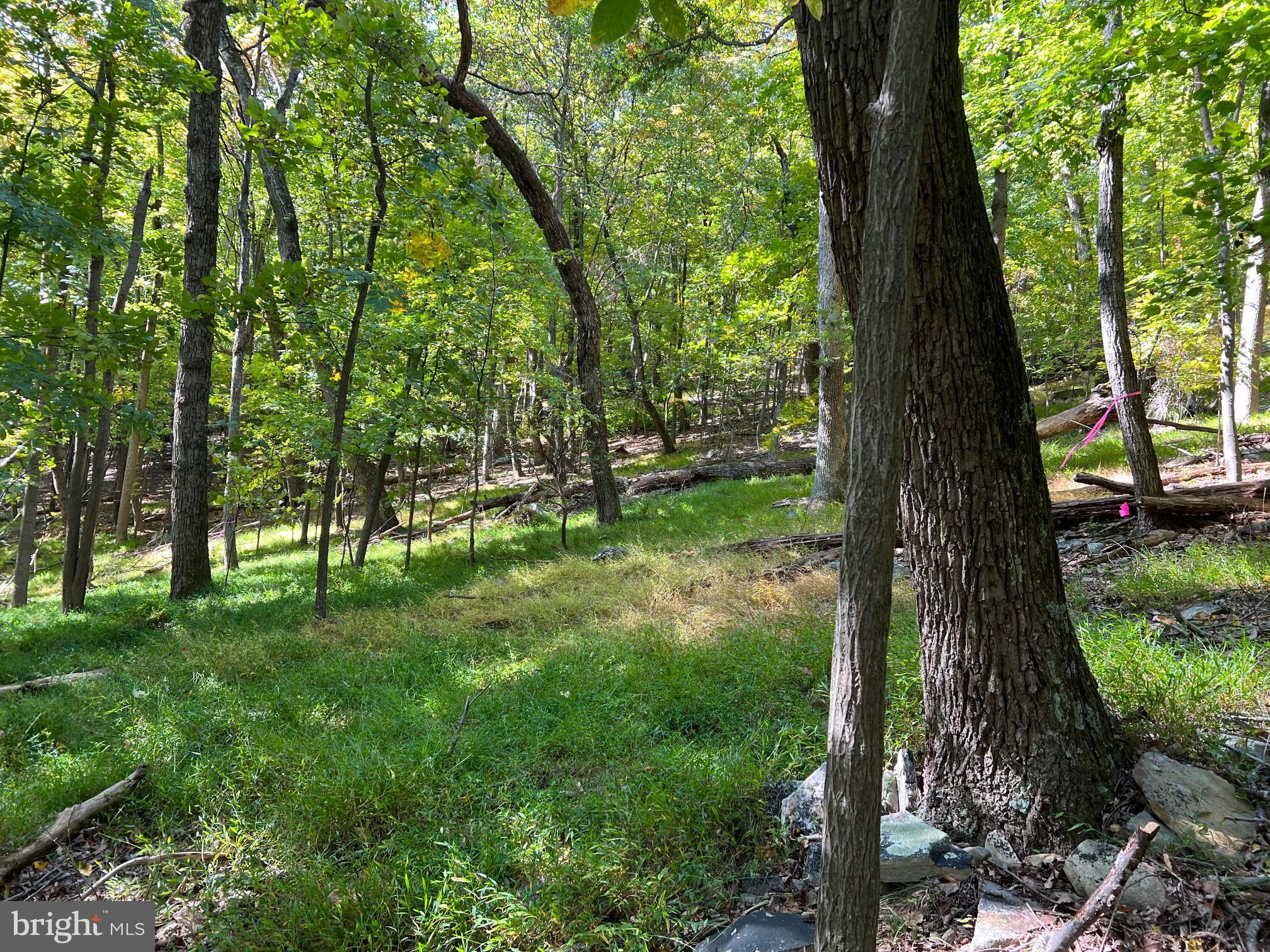 BULL RUN MOUNTAIN ESTATE - Land