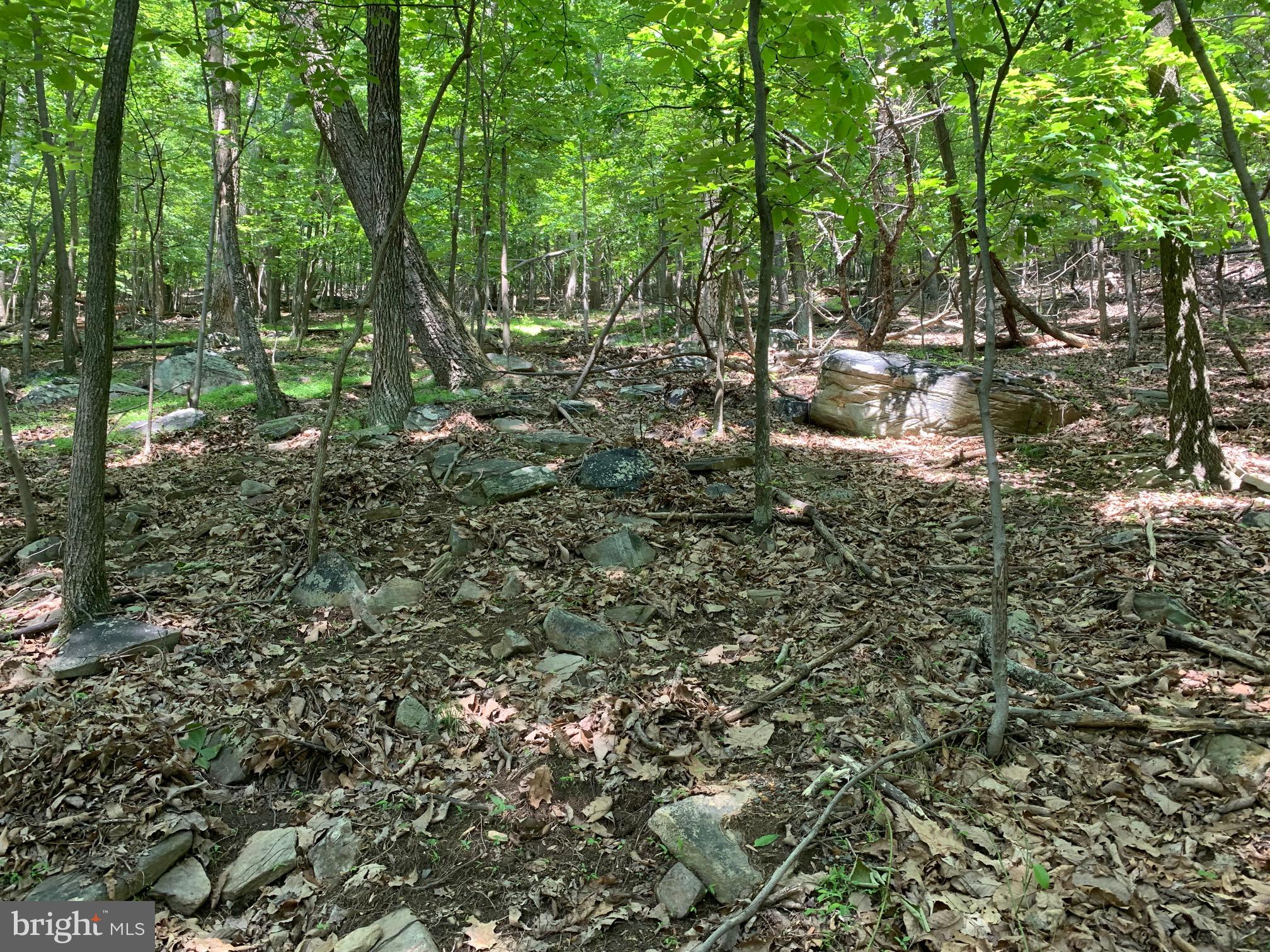 BULL RUN MOUNTAIN ESTATE - Land