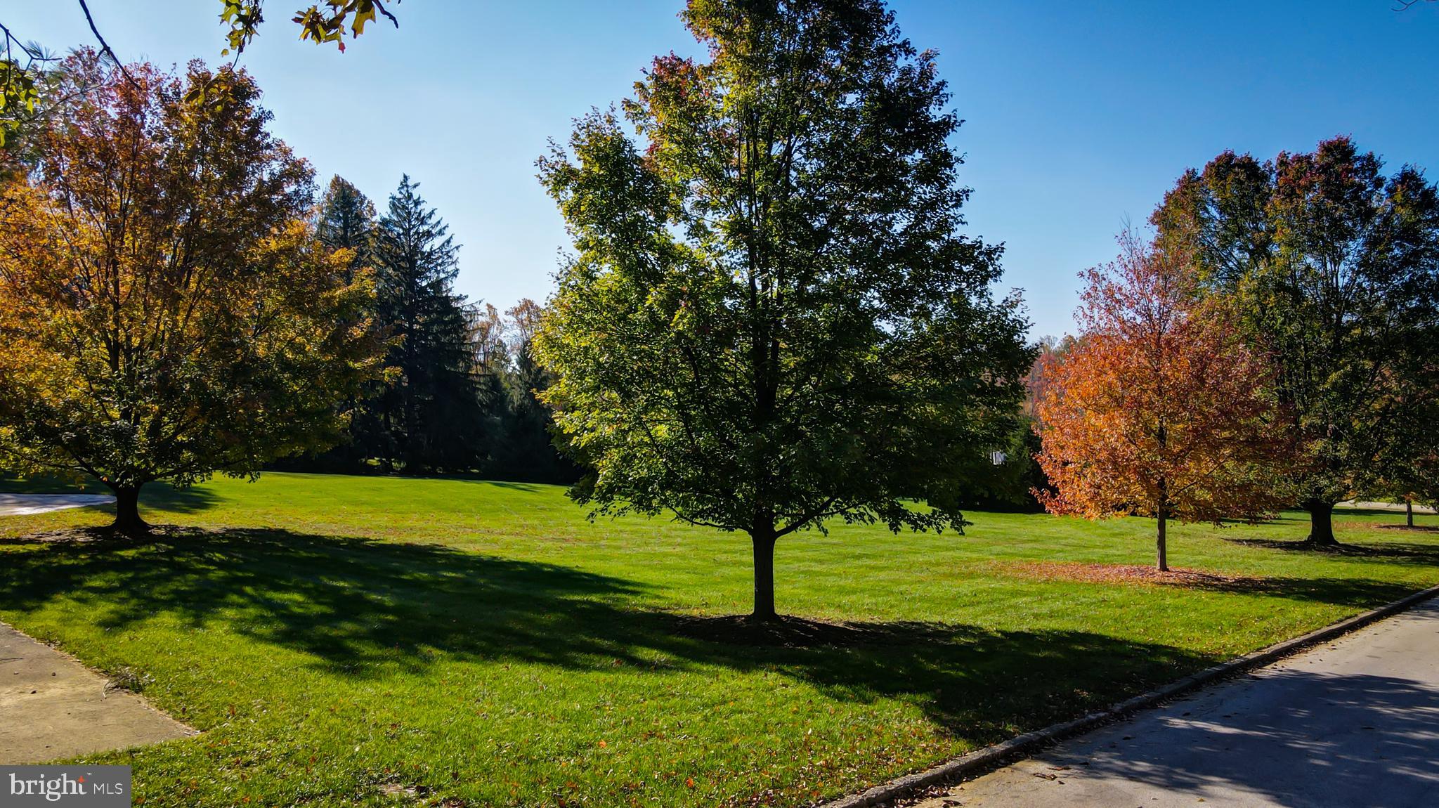 LEOPARD LAKES - Land