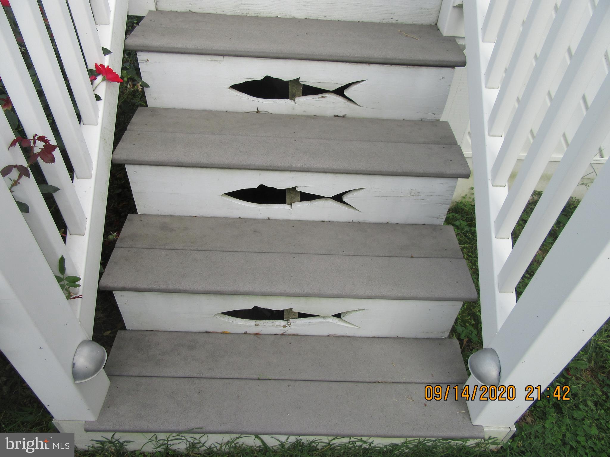 POTOMAC SHORES - Residential