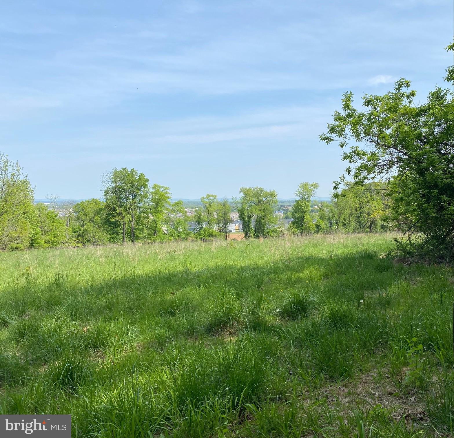 Lot 1 MOUNTAIN ROAD