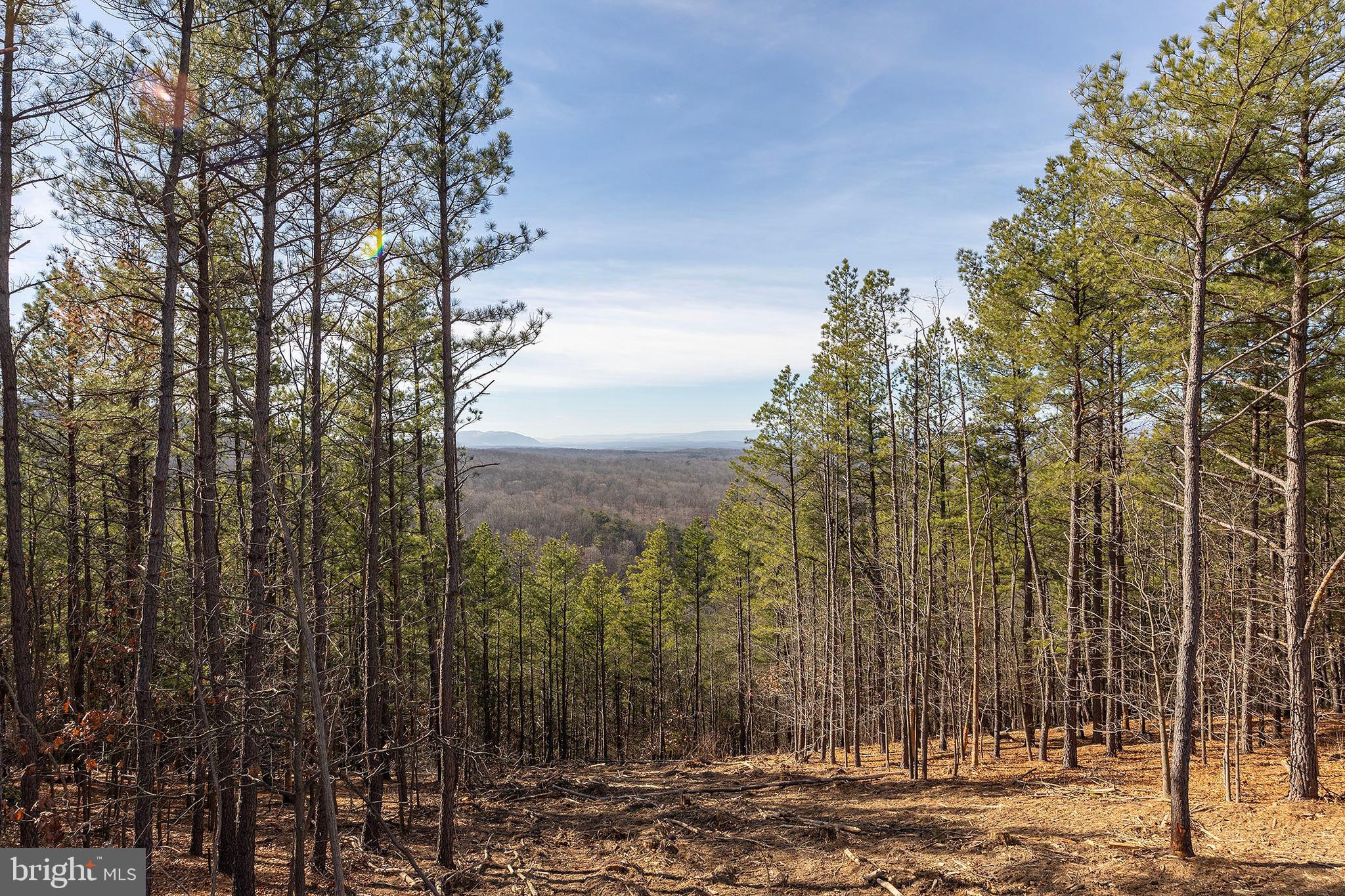 BLUFFS ON THE POTOMAC - Residential
