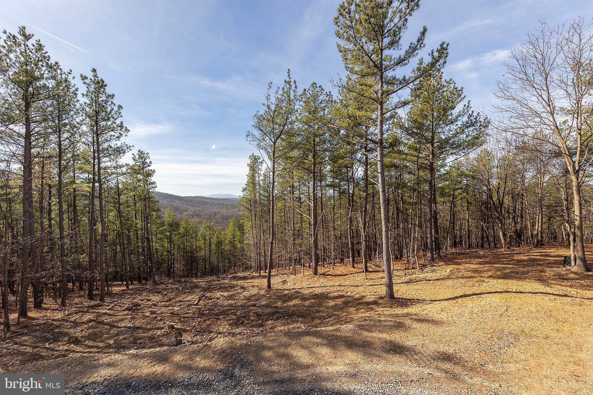 BLUFFS ON THE POTOMAC - Residential
