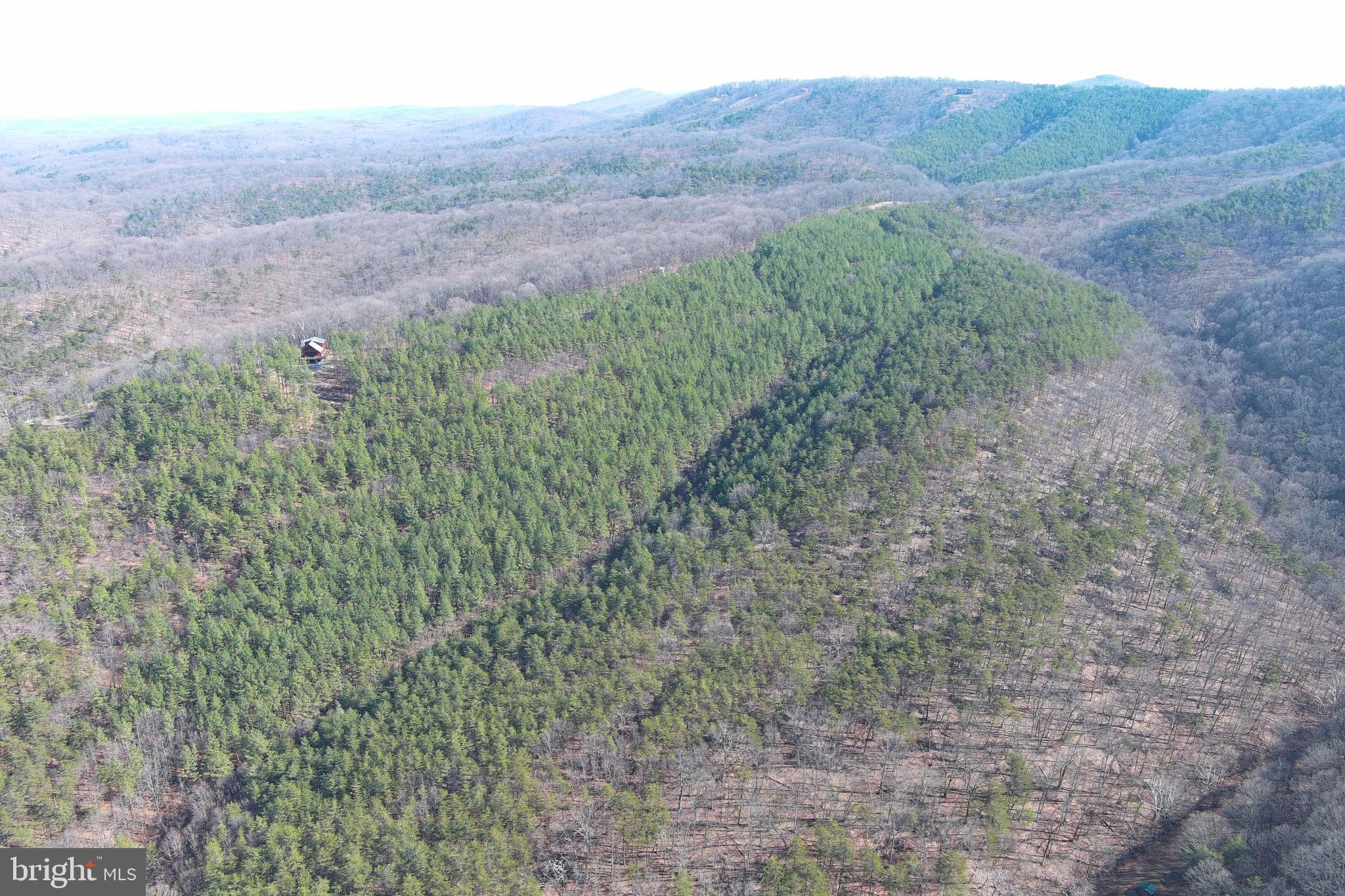 BLUFFS ON THE POTOMAC - Residential