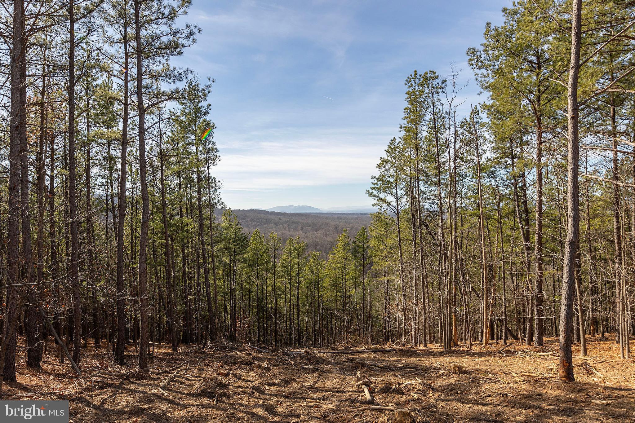 BLUFFS ON THE POTOMAC - Residential