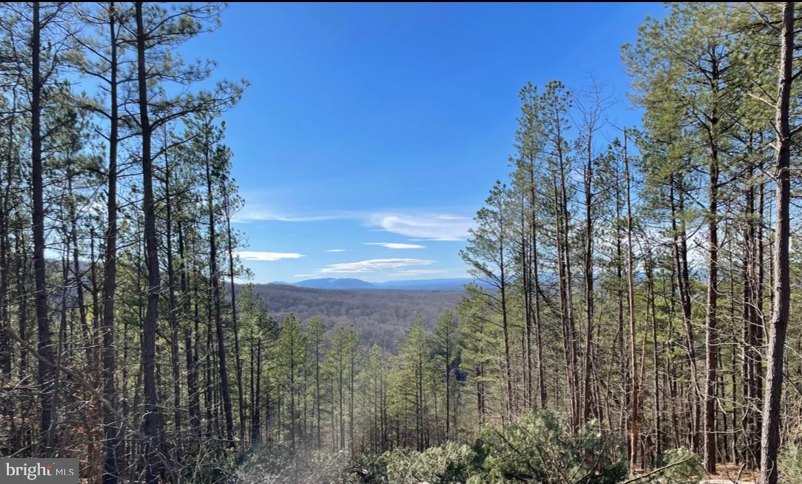 BLUFFS ON THE POTOMAC - Residential