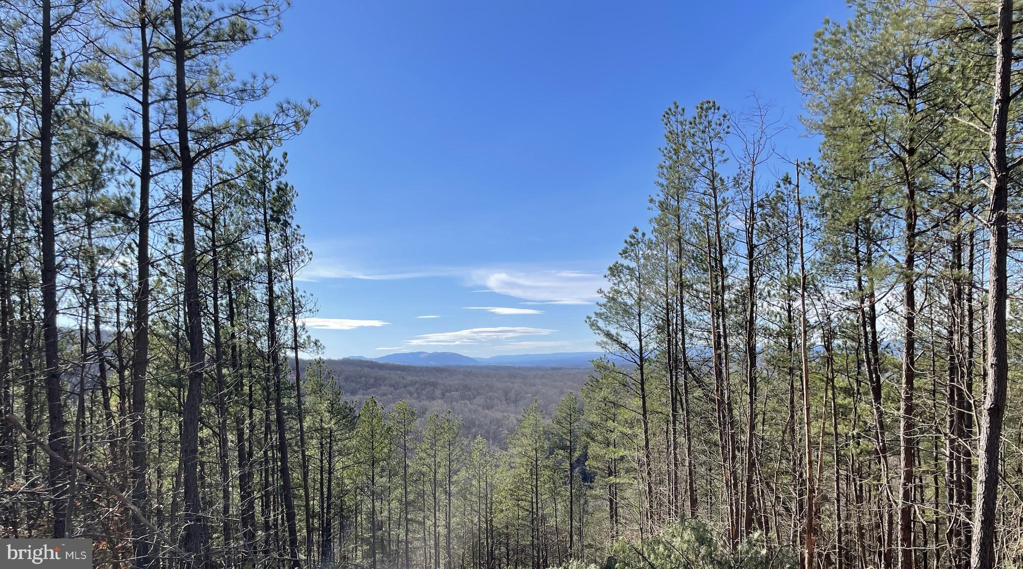 BLUFFS ON THE POTOMAC - Residential