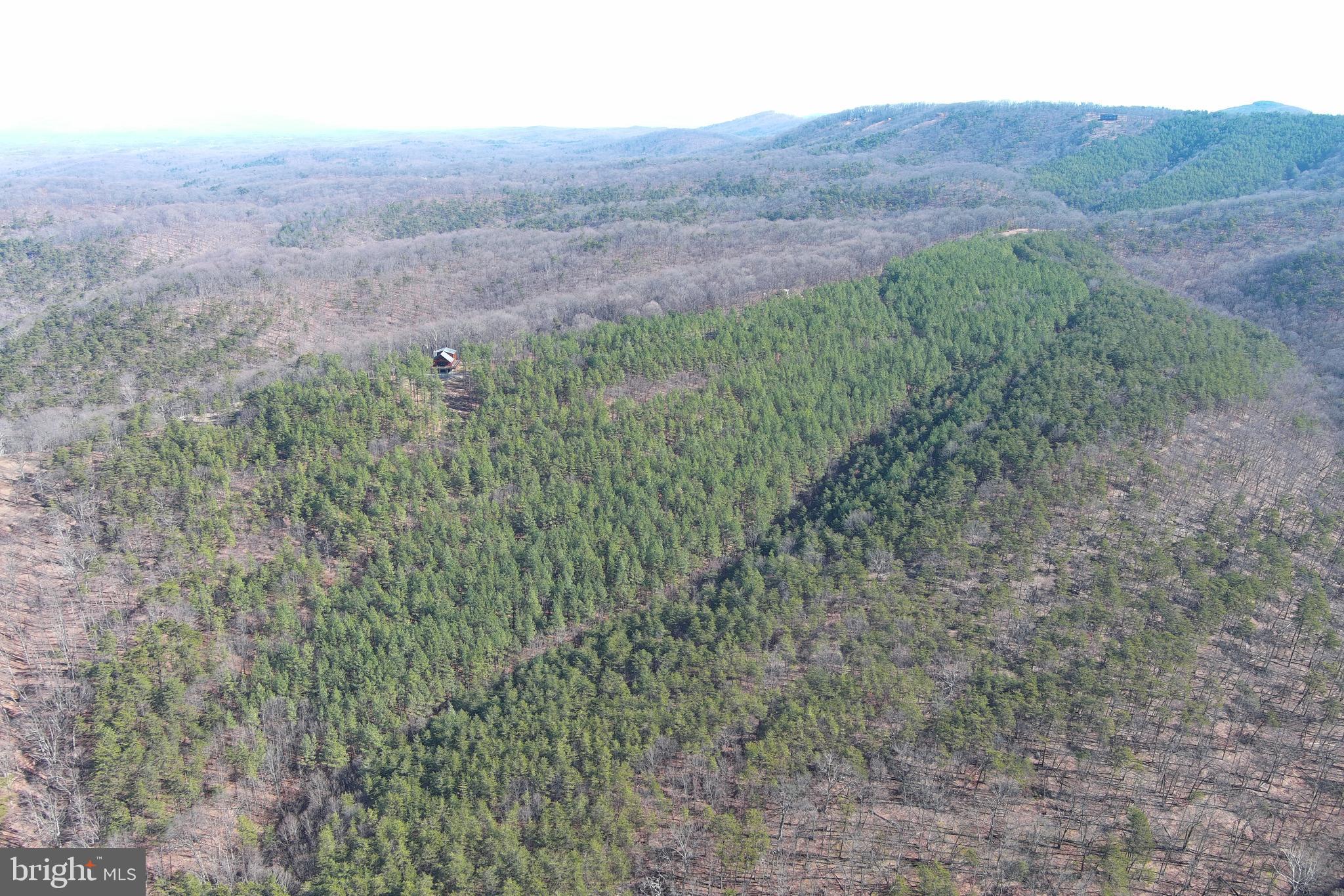 BLUFFS ON THE POTOMAC - Residential