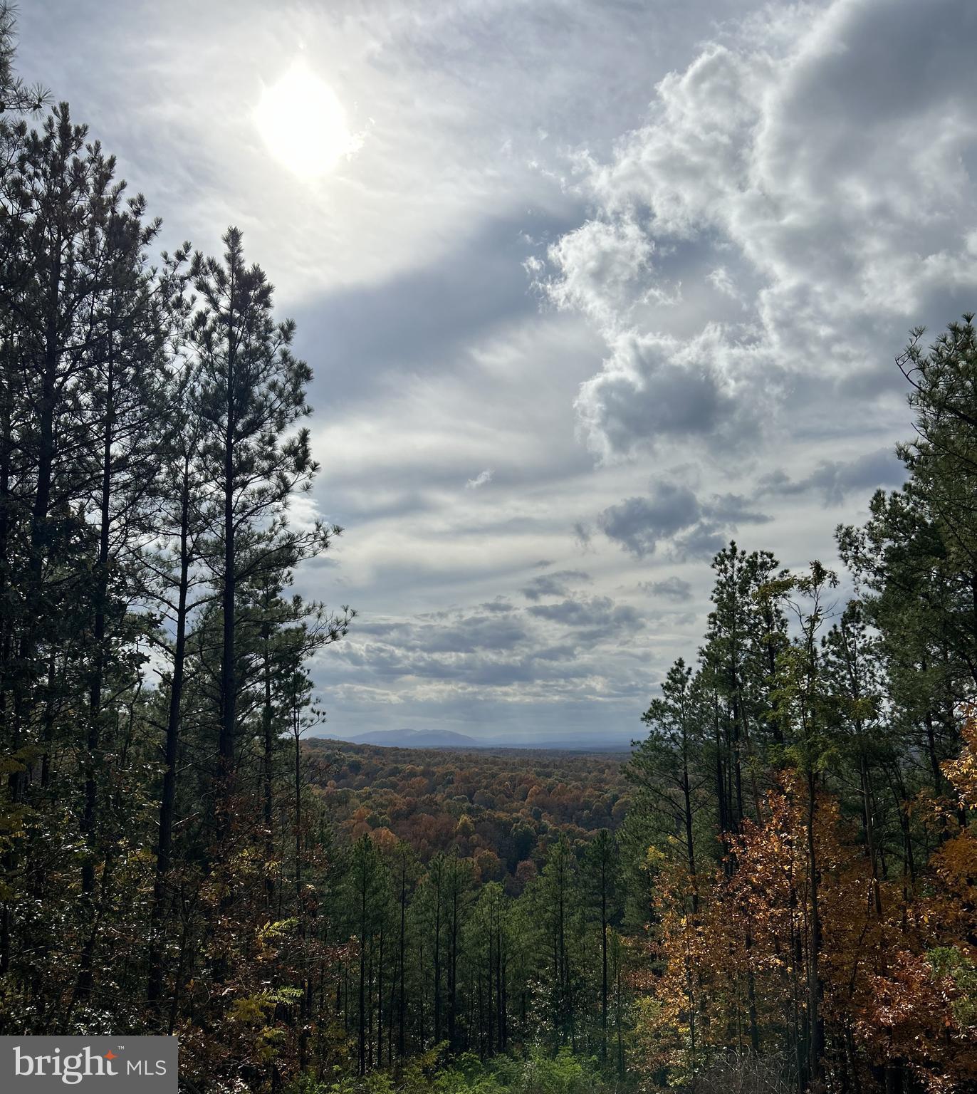 BLUFFS ON THE POTOMAC - Residential