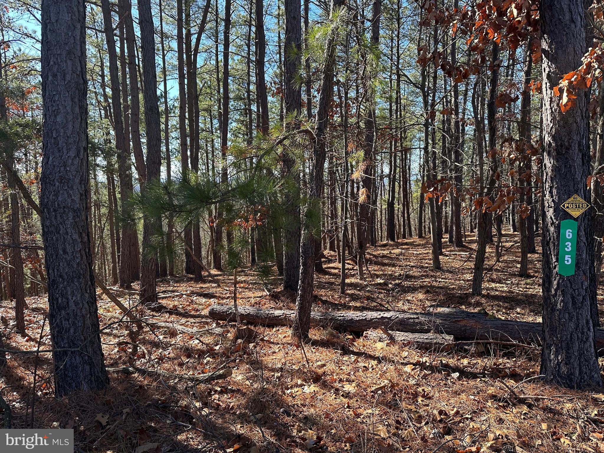 BLUFFS ON THE POTOMAC - Residential