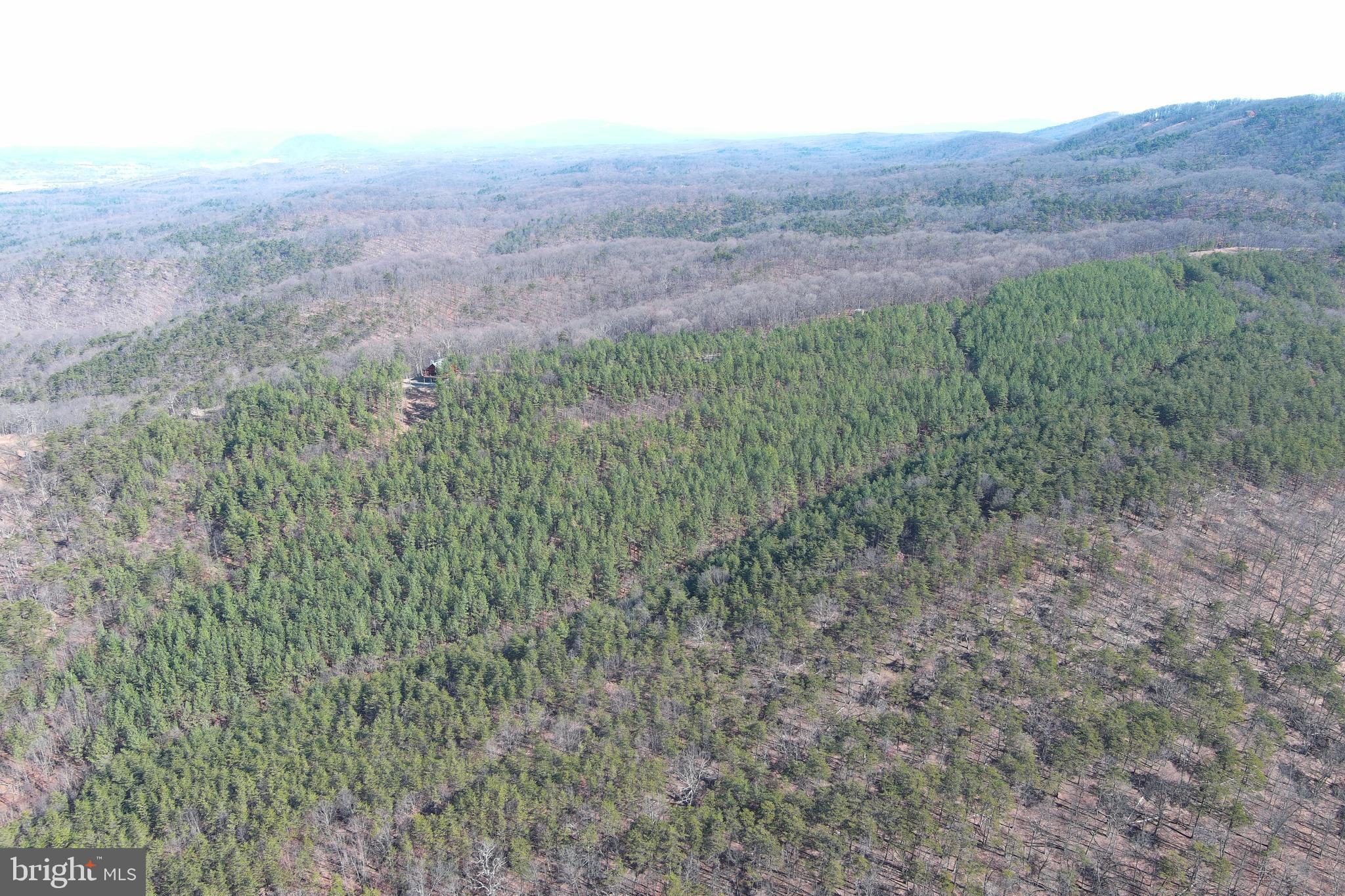 BLUFFS ON THE POTOMAC - Residential