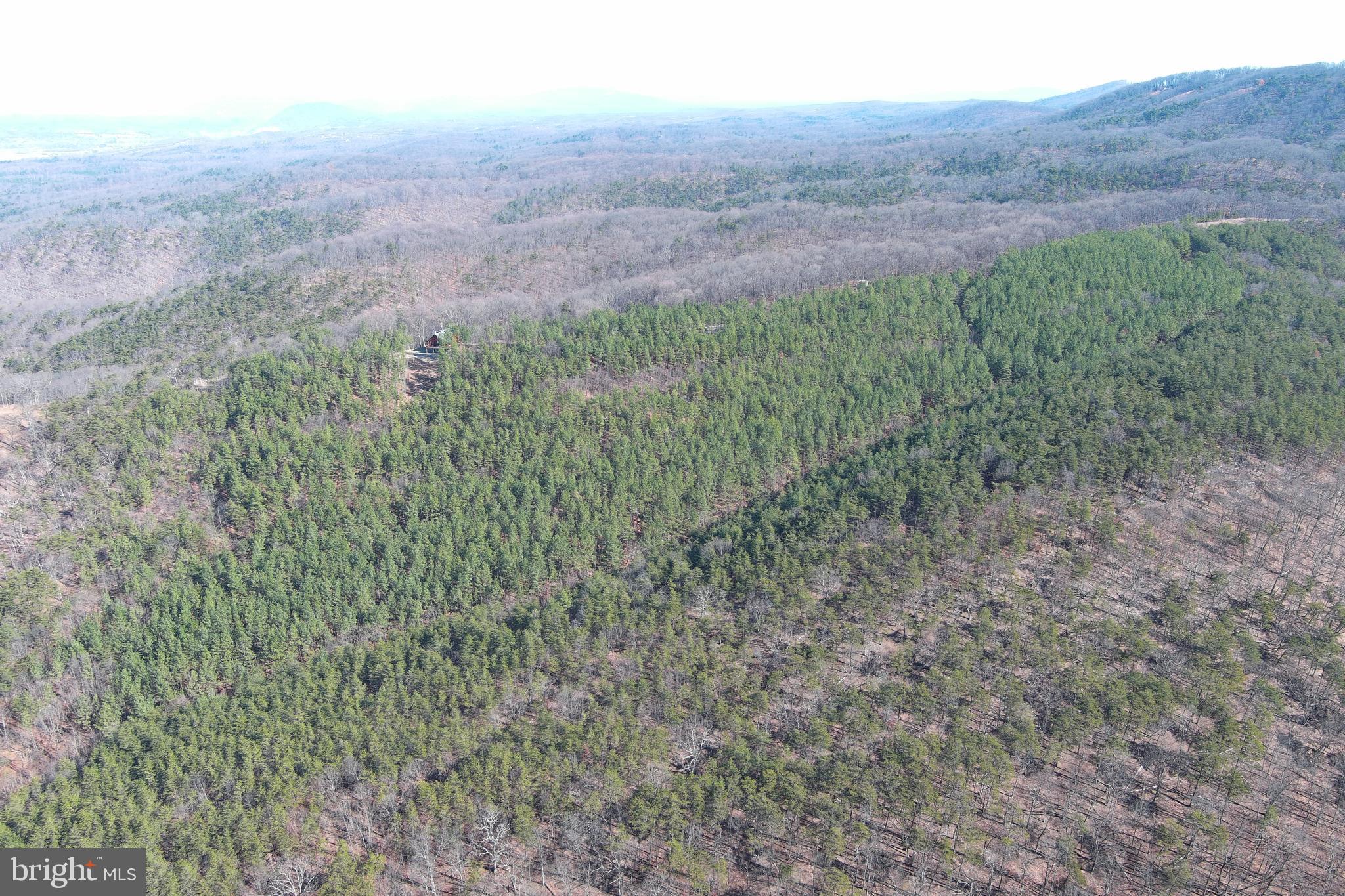 BLUFFS ON THE POTOMAC - Residential