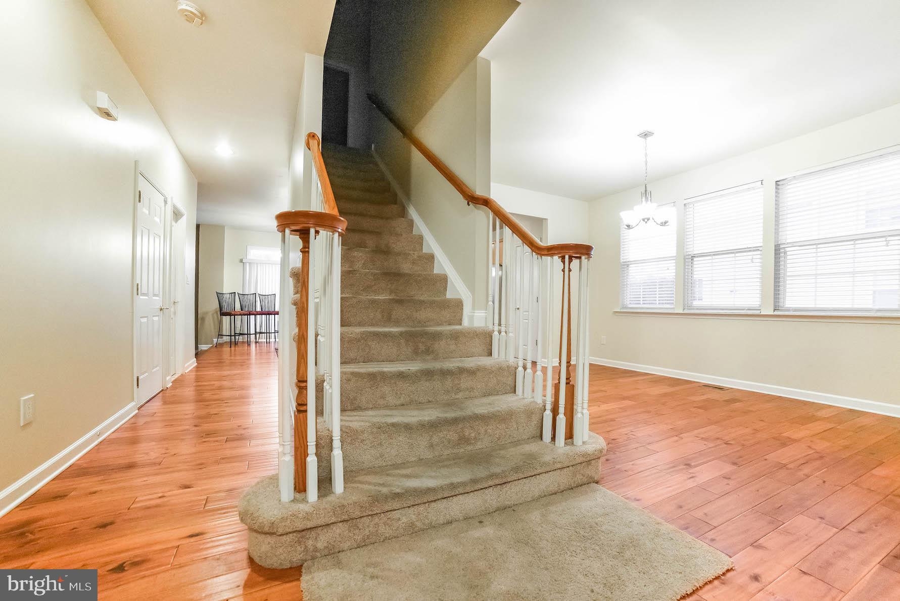 AVALON - Residential