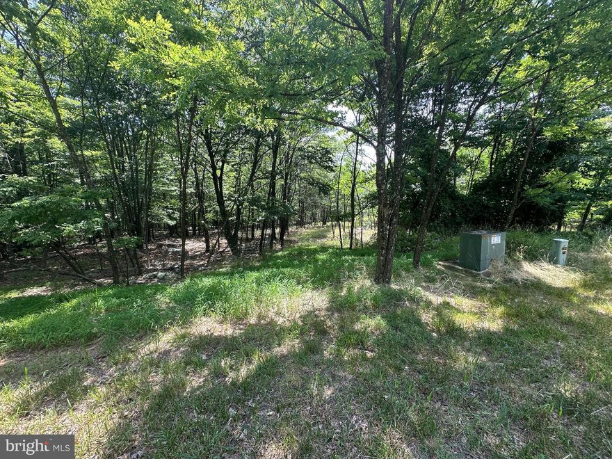 Check out this nice building lot located in Cacapon East Subdivision. This lot is conveniently located near Cacapon State Park with it being only 5 mins away! Come and build your forever home in Wild and Wonderful WV!   Located about 10 min south of charming Berkeley Springs. The subdivision offers paved roads all the way to the lot as well! Lot is available to hook up to community septic but does require on site septic tank. HOA covers maintenance of roads. Electric for the property is right at the road.