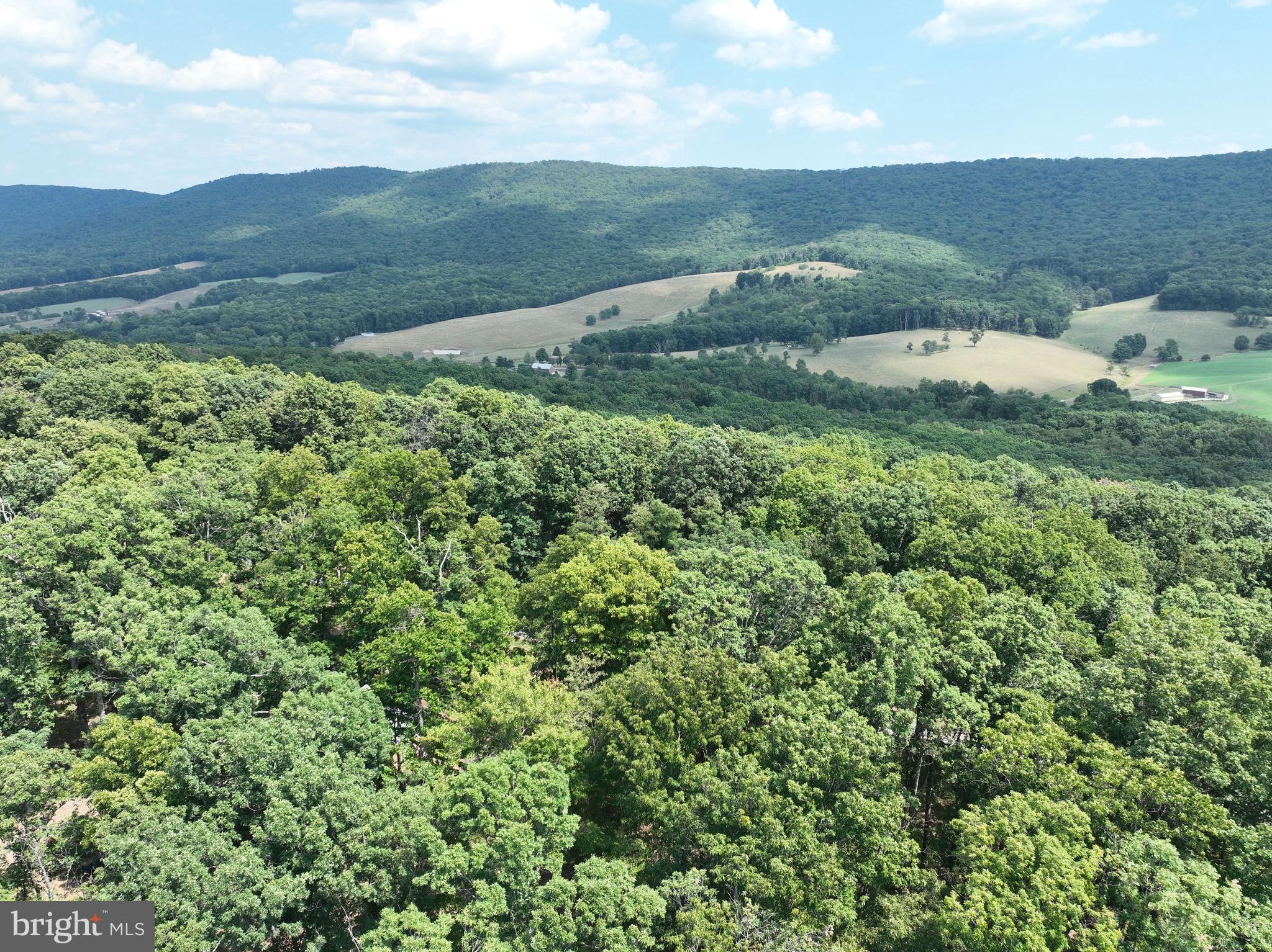 PEACEFUL VALLEY ESTATES - Residential