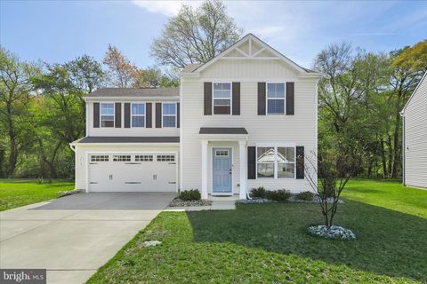 30145 CREEKVIEW CIRCLE SELBYVILLE DE 19975