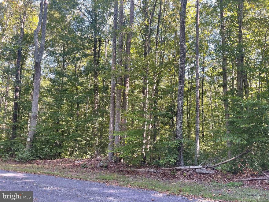 Beautiful 10 acre lot in the heart of peace and tranquility! Here is your chance to own a little slice of heaven!  Land had a perc test over 5 years ago and it passed as a conventional perc, would recommend having your own test done again to verify for your specific needs. Sign on property, feel free to walk it, there are markers present showing corners.  There is also an adjoining lot of an additional 10 acres right beside this one listed for sale as well.  This lot is the first sign you come to on the right.....the second lot for sale is the second sign on the right side. Owner would entertain selling both together if price is right.