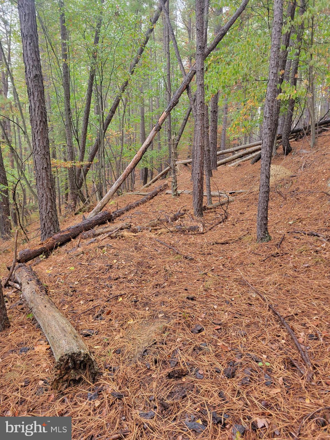 ASHTON WOODS PROPERTY OWNERS ASSOCIATION - Land