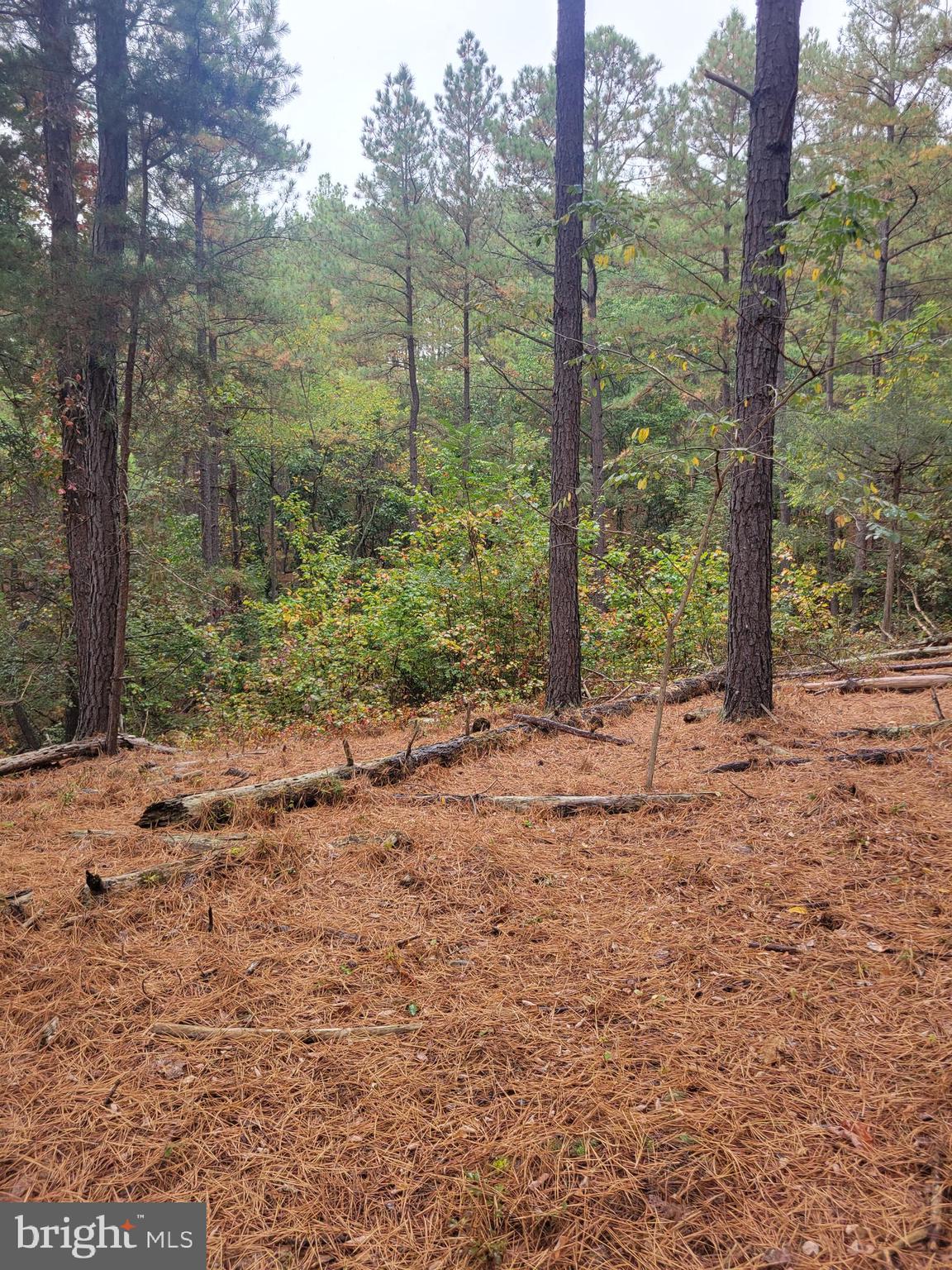 ASHTON WOODS PROPERTY OWNERS ASSOCIATION - Land