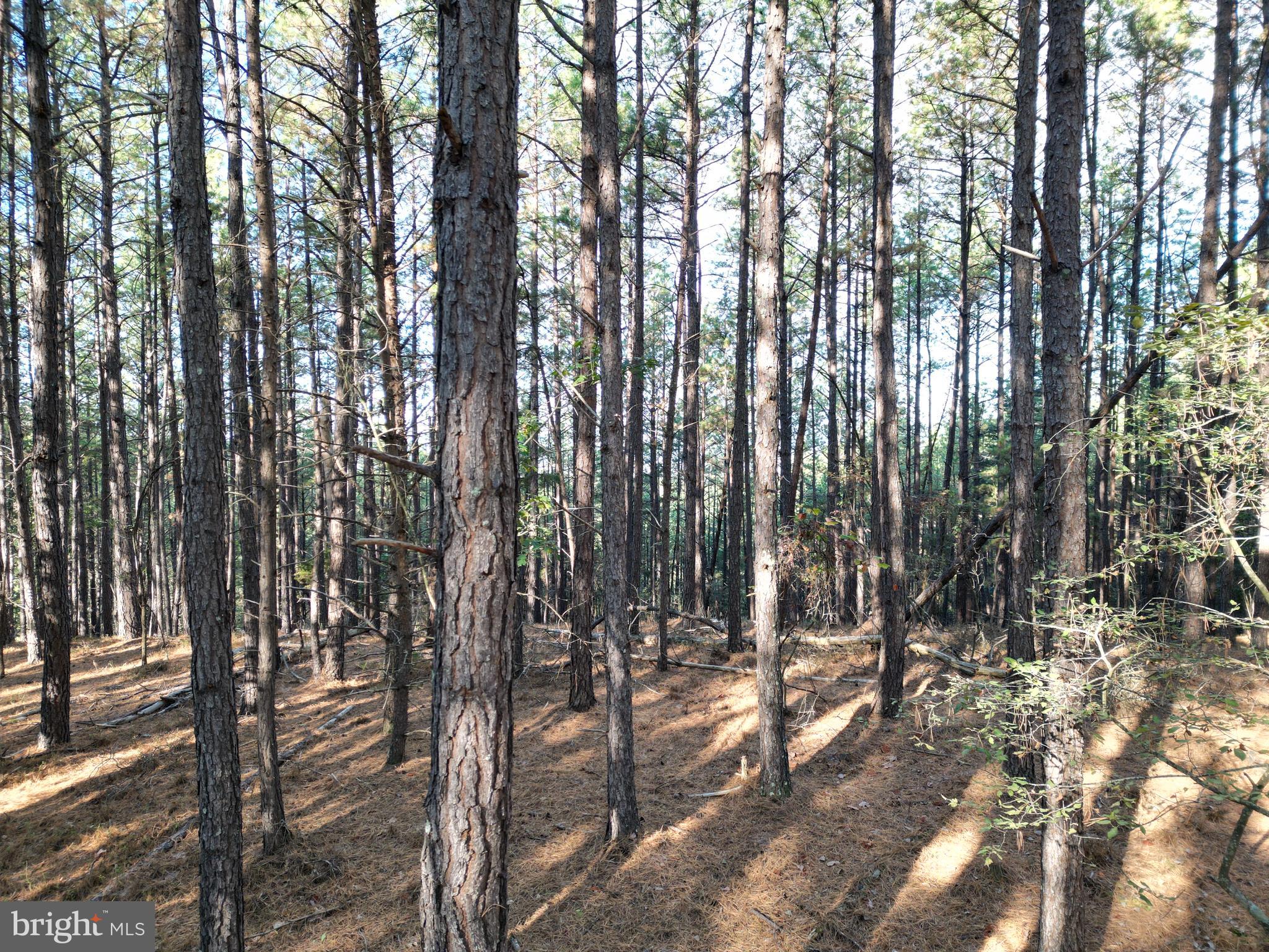 ASHTON WOODS PROPERTY OWNERS ASSOCIATION - Land