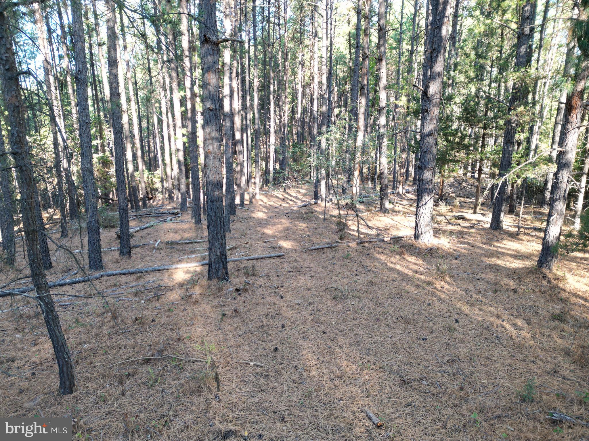 ASHTON WOODS PROPERTY OWNERS ASSOCIATION - Land