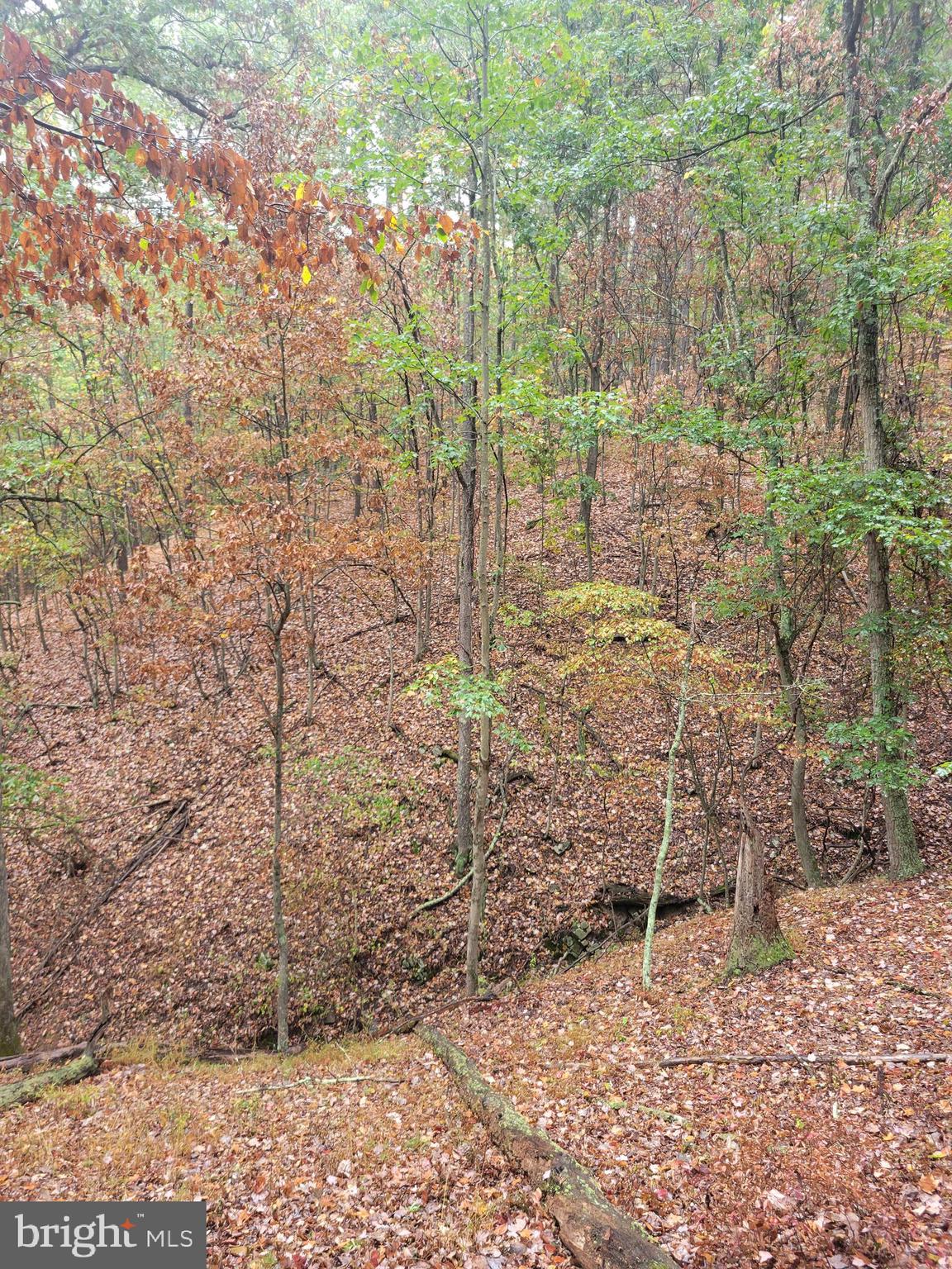 ASHTON WOODS PROPERTY OWNERS ASSOCIATION - Land