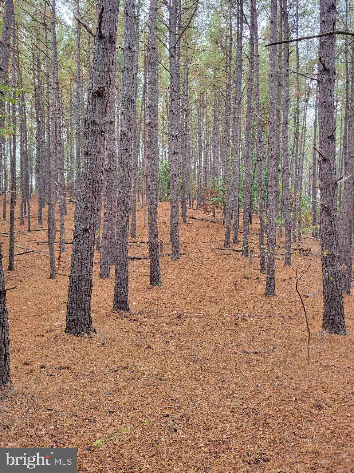 ASHTON WOODS PROPERTY OWNERS ASSOCIATION - Land