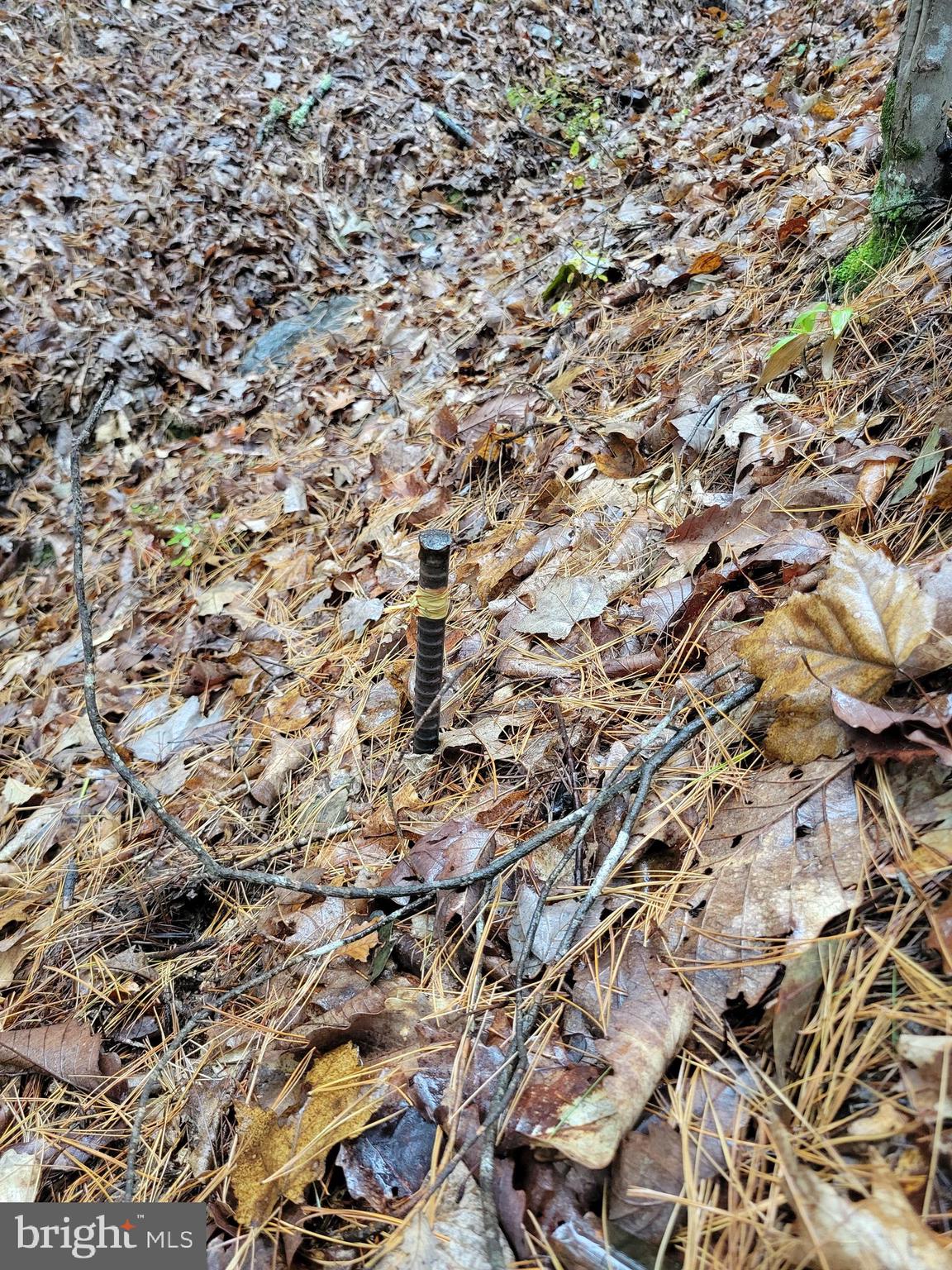 ASHTON WOODS PROPERTY OWNERS ASSOCIATION - Land