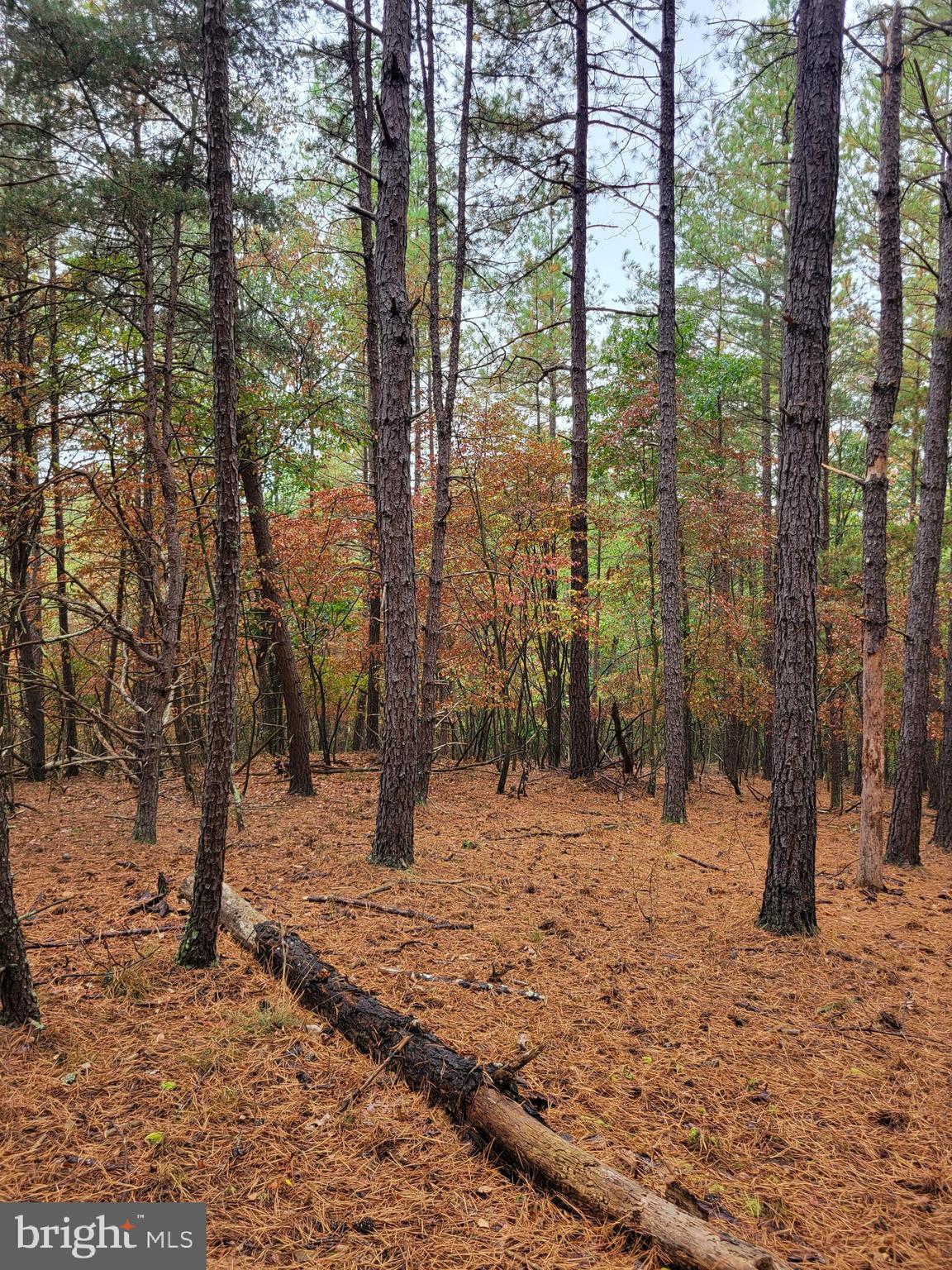 ASHTON WOODS PROPERTY OWNERS ASSOCIATION - Land