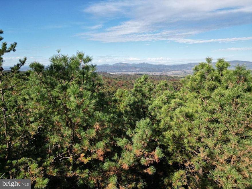 Welcome to the Mountain

Have you been looking for a place to build your dream home or weekend cabin? This property sits along the main road of Ashton Woods Drive giving you two entrance locations to access the property. One directly from Corridor H and the other being the first entrance off of Trough Road.

The property sits on the western facing hillside making for the potential sunsets across the valley shining over the mountains a possibility. With the clearing of trees for a home site you could be perched on the ridge with a postcard worthy views. The land for the most part is derived of loblobby pine giving way to oaks in the valleys and on the southern property ridge. Whether you are a hunter or someone that enjoys nature this is the place you are searching for. The valley holds water in pools that the local wildlife frequent as well as seeing the occasional frog making a splash from the bank. Additional benefits of this lot is exclusive access the Nathaniel WMA which adjoins Ashton Woods at the top and the allowance for campers 11 months out of the year.

Do not let this beautiful property slip through as it will not last long.