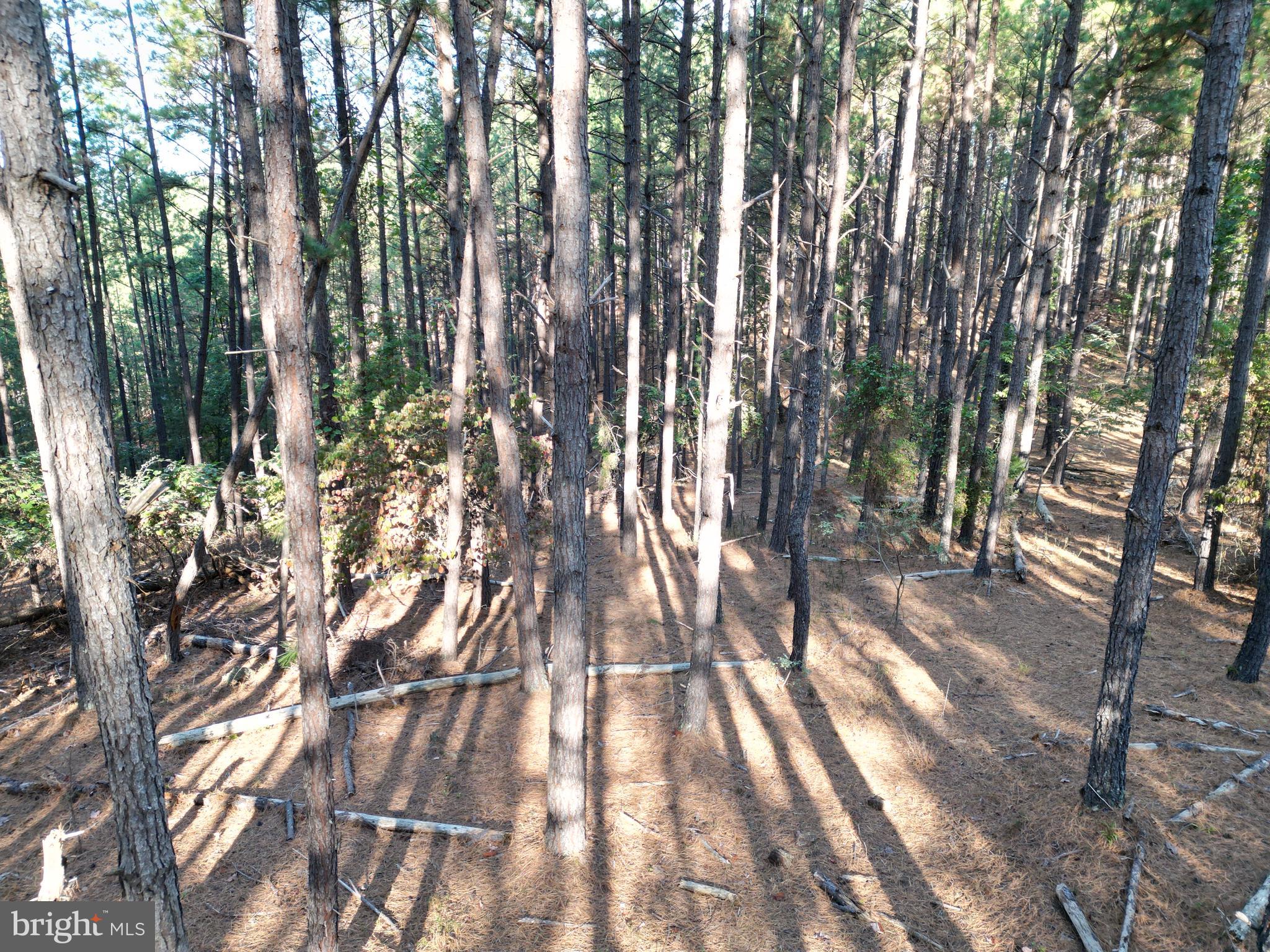 ASHTON WOODS PROPERTY OWNERS ASSOCIATION - Land