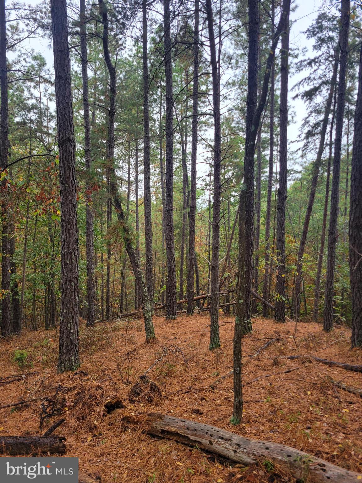 ASHTON WOODS PROPERTY OWNERS ASSOCIATION - Land