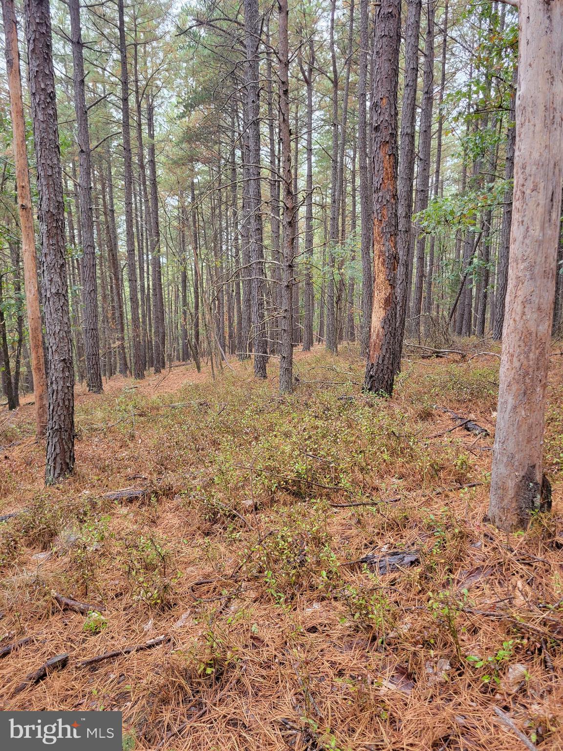 ASHTON WOODS PROPERTY OWNERS ASSOCIATION - Land