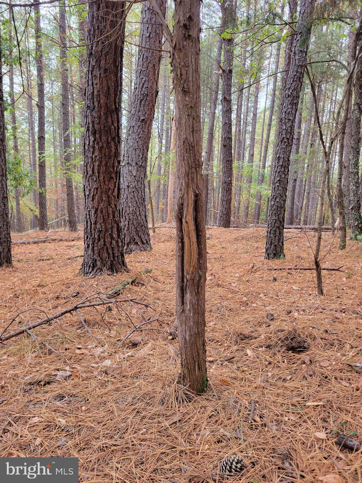 ASHTON WOODS PROPERTY OWNERS ASSOCIATION - Land