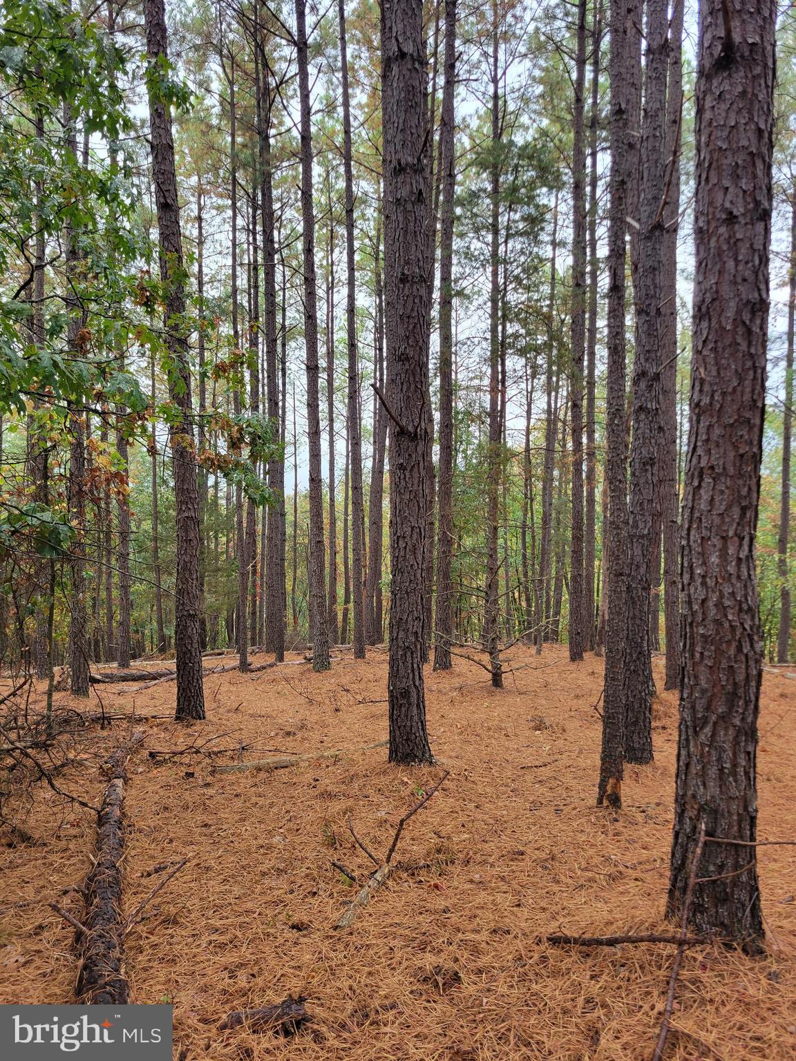 ASHTON WOODS PROPERTY OWNERS ASSOCIATION - Land