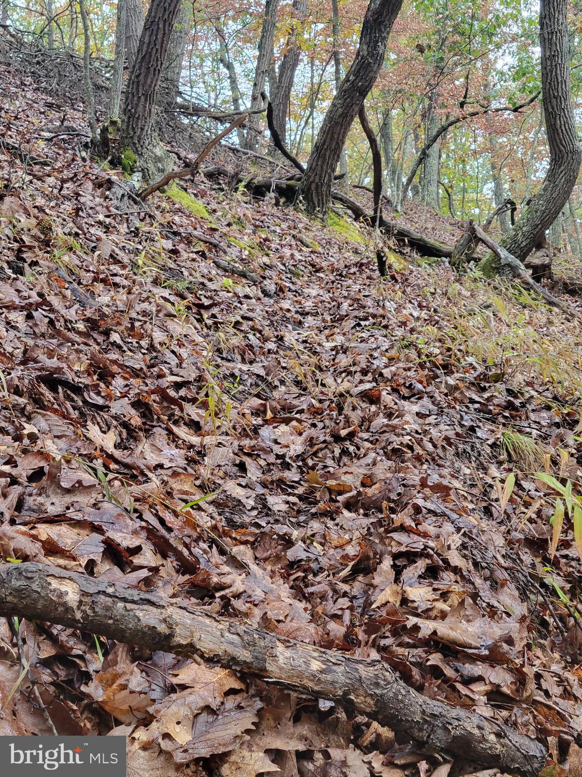 ASHTON WOODS PROPERTY OWNERS ASSOCIATION - Land