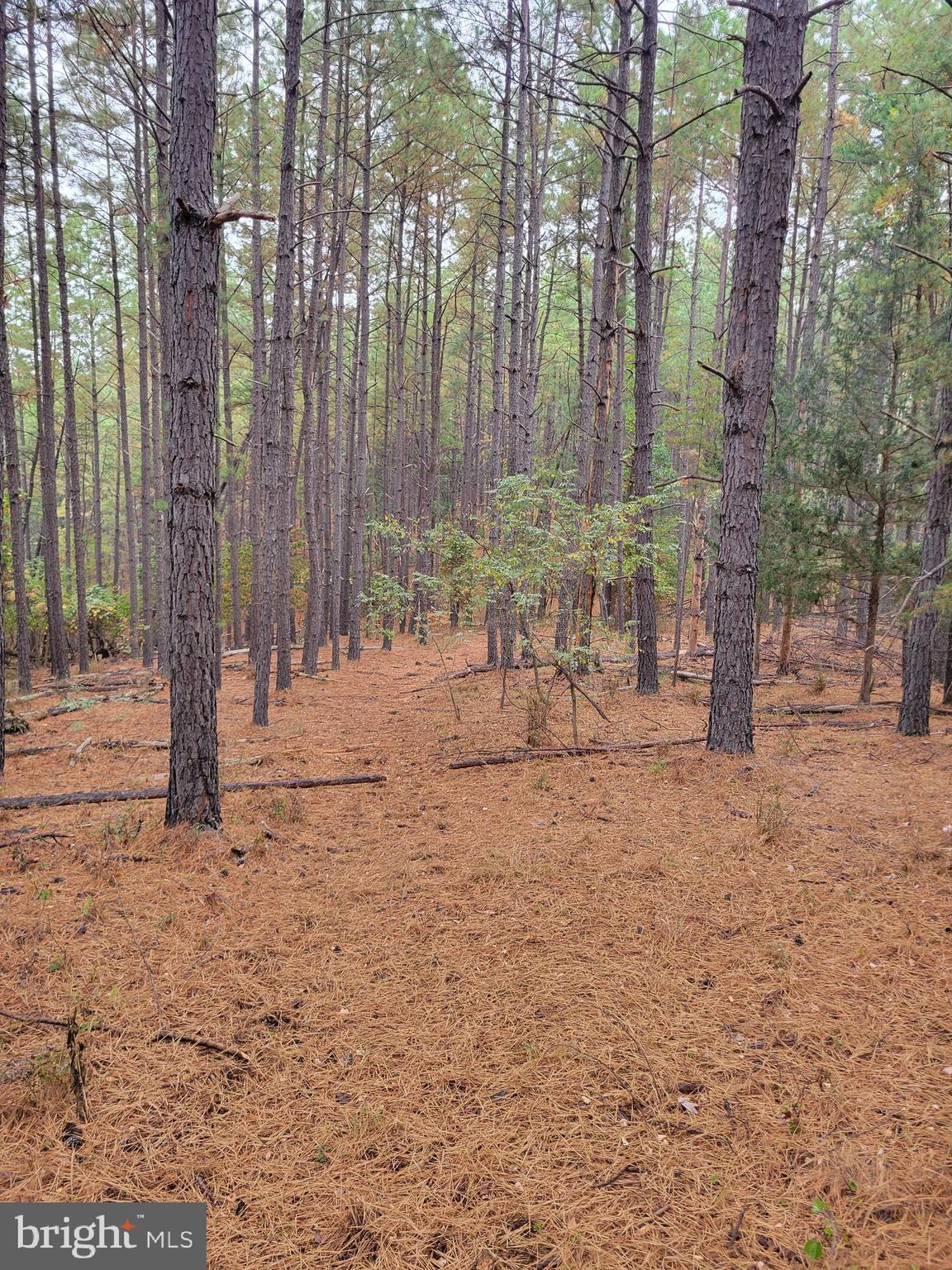 ASHTON WOODS PROPERTY OWNERS ASSOCIATION - Land