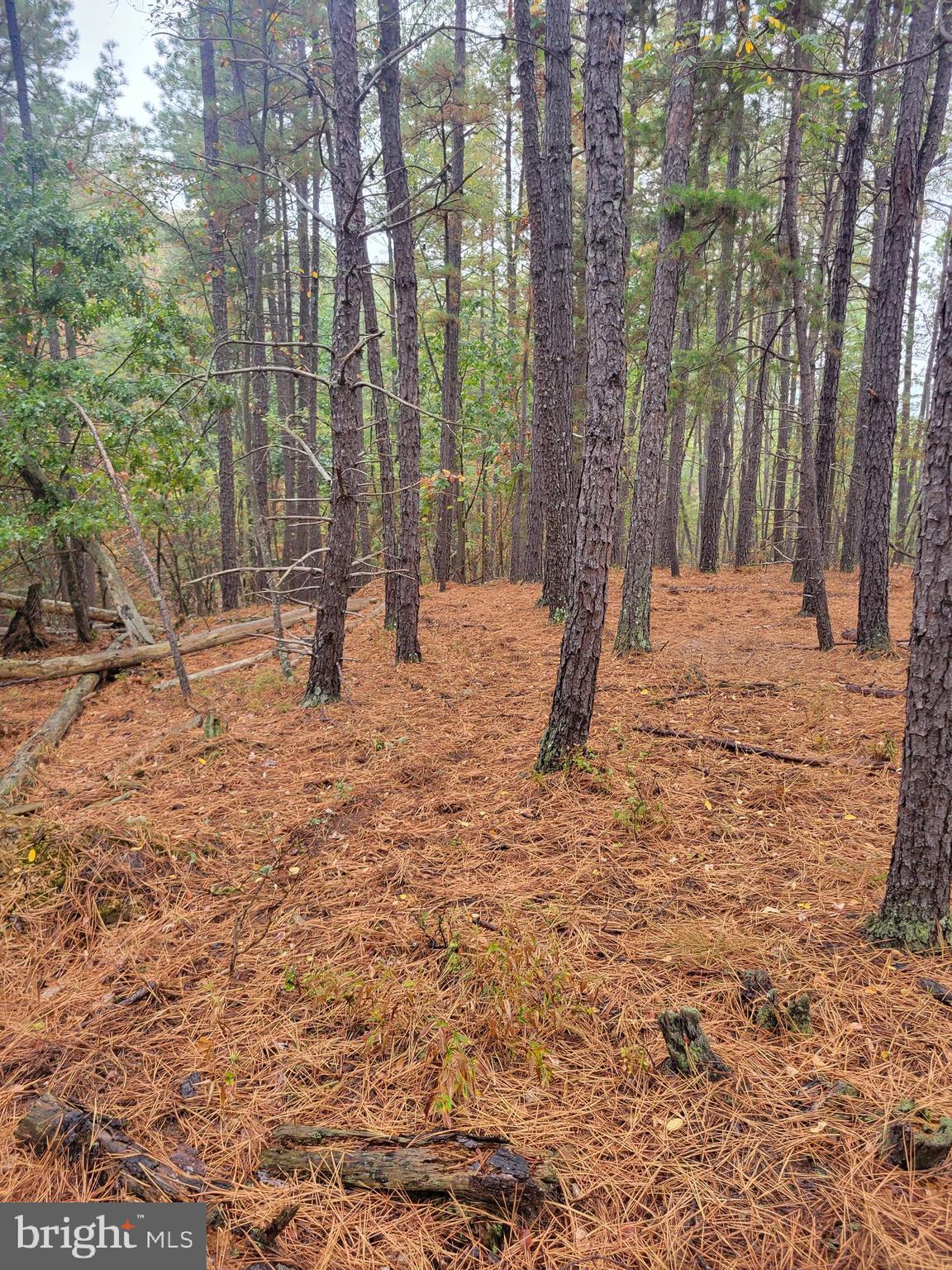 ASHTON WOODS PROPERTY OWNERS ASSOCIATION - Land