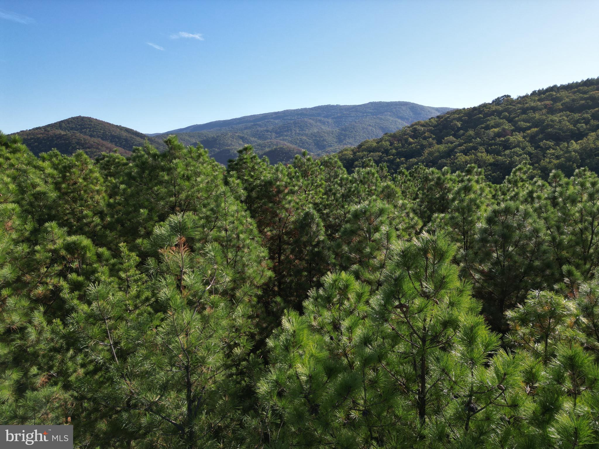 ASHTON WOODS PROPERTY OWNERS ASSOCIATION - Land