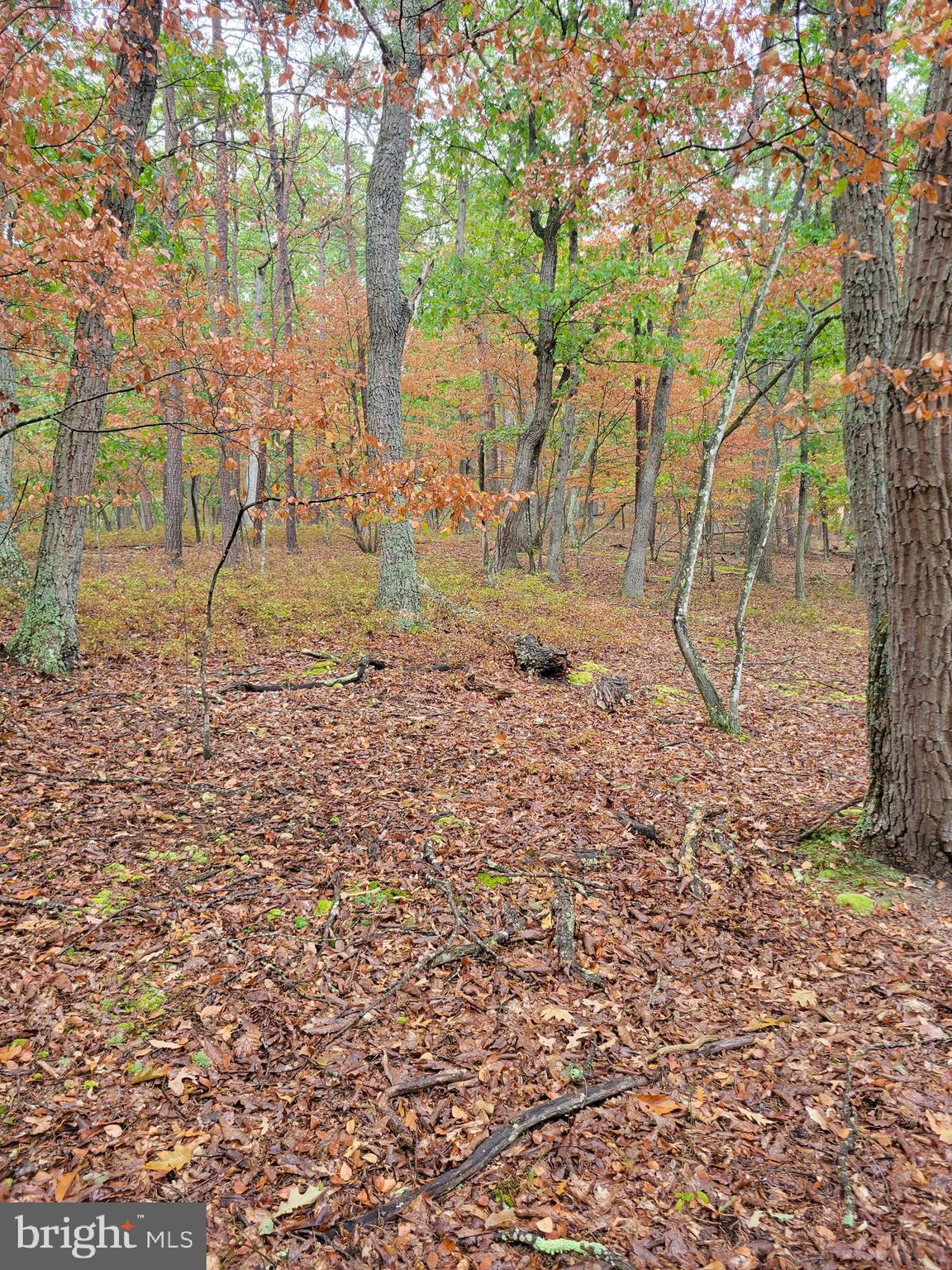 ASHTON WOODS PROPERTY OWNERS ASSOCIATION - Land
