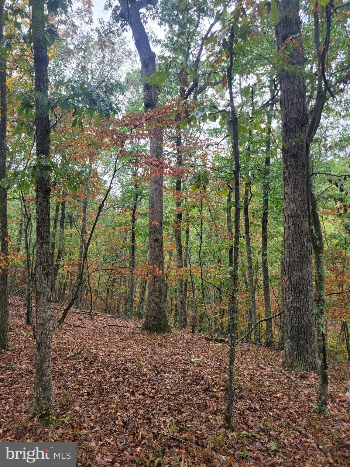 ASHTON WOODS PROPERTY OWNERS ASSOCIATION - Land