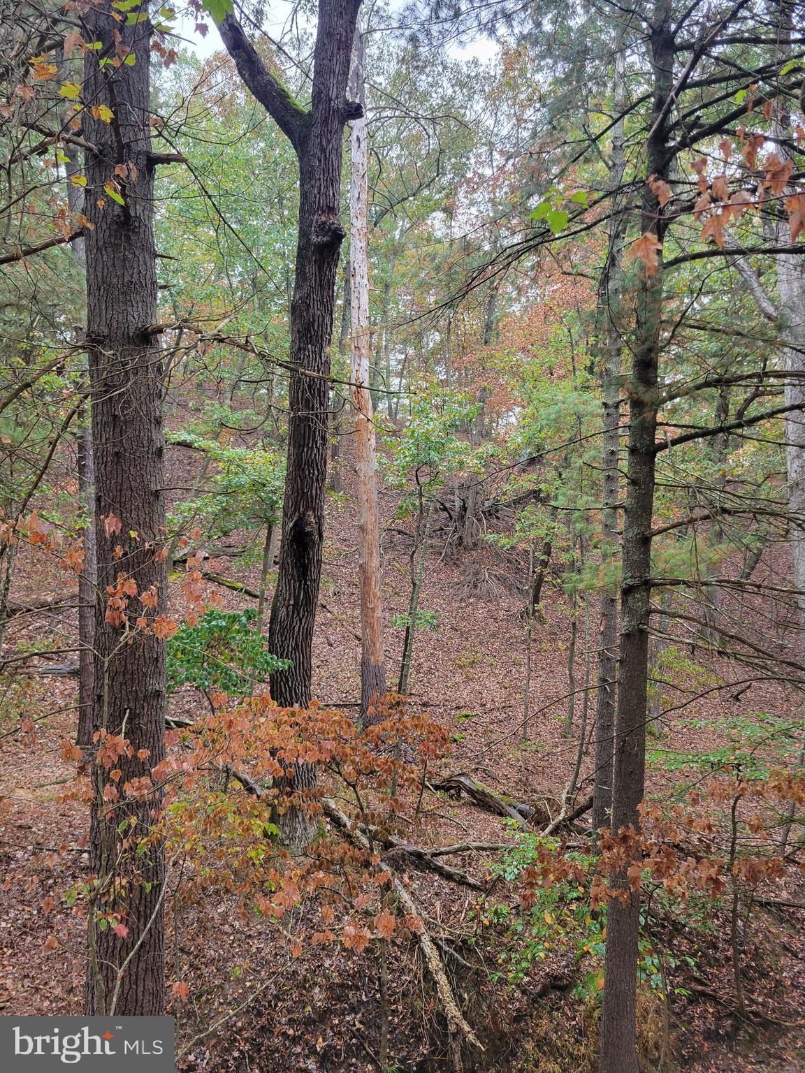 ASHTON WOODS PROPERTY OWNERS ASSOCIATION - Land