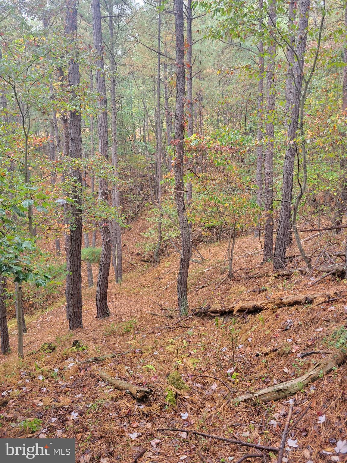 ASHTON WOODS PROPERTY OWNERS ASSOCIATION - Land