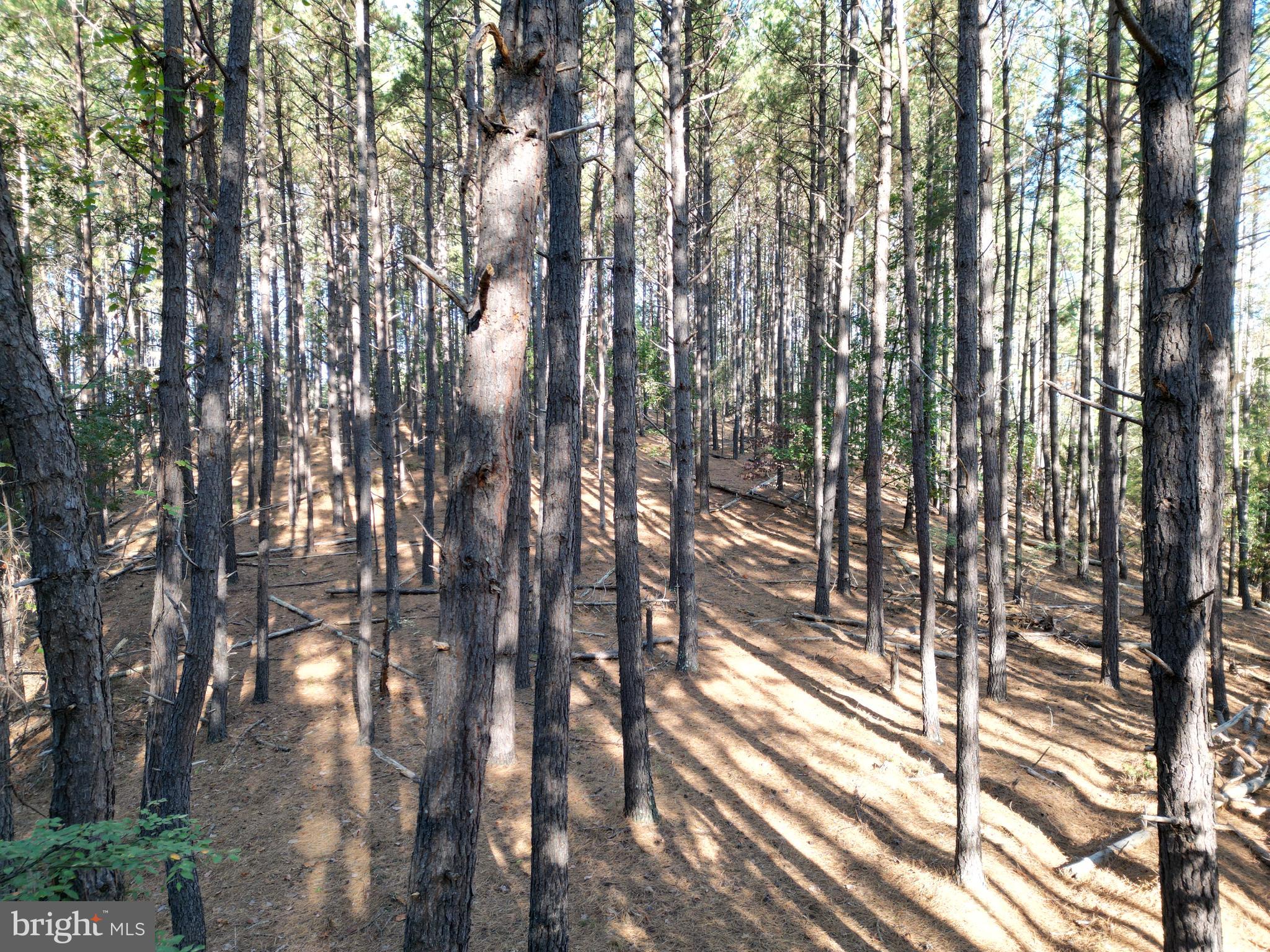 ASHTON WOODS PROPERTY OWNERS ASSOCIATION - Land