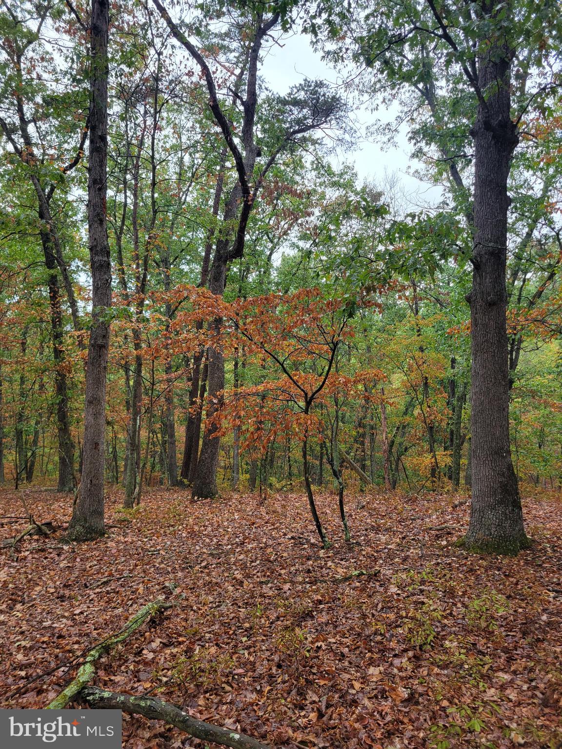 ASHTON WOODS PROPERTY OWNERS ASSOCIATION - Land