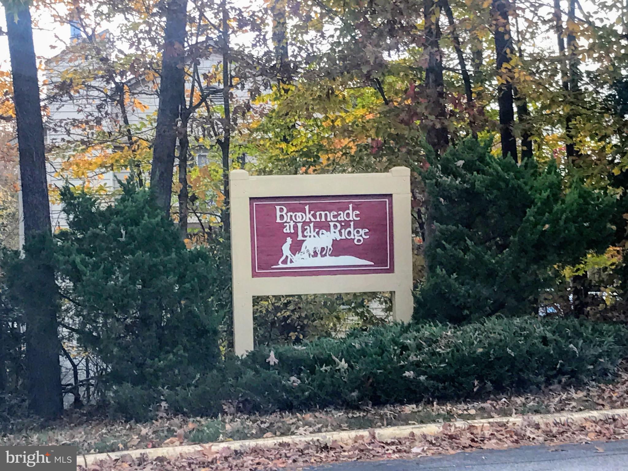 LAKE RIDGE - Residential