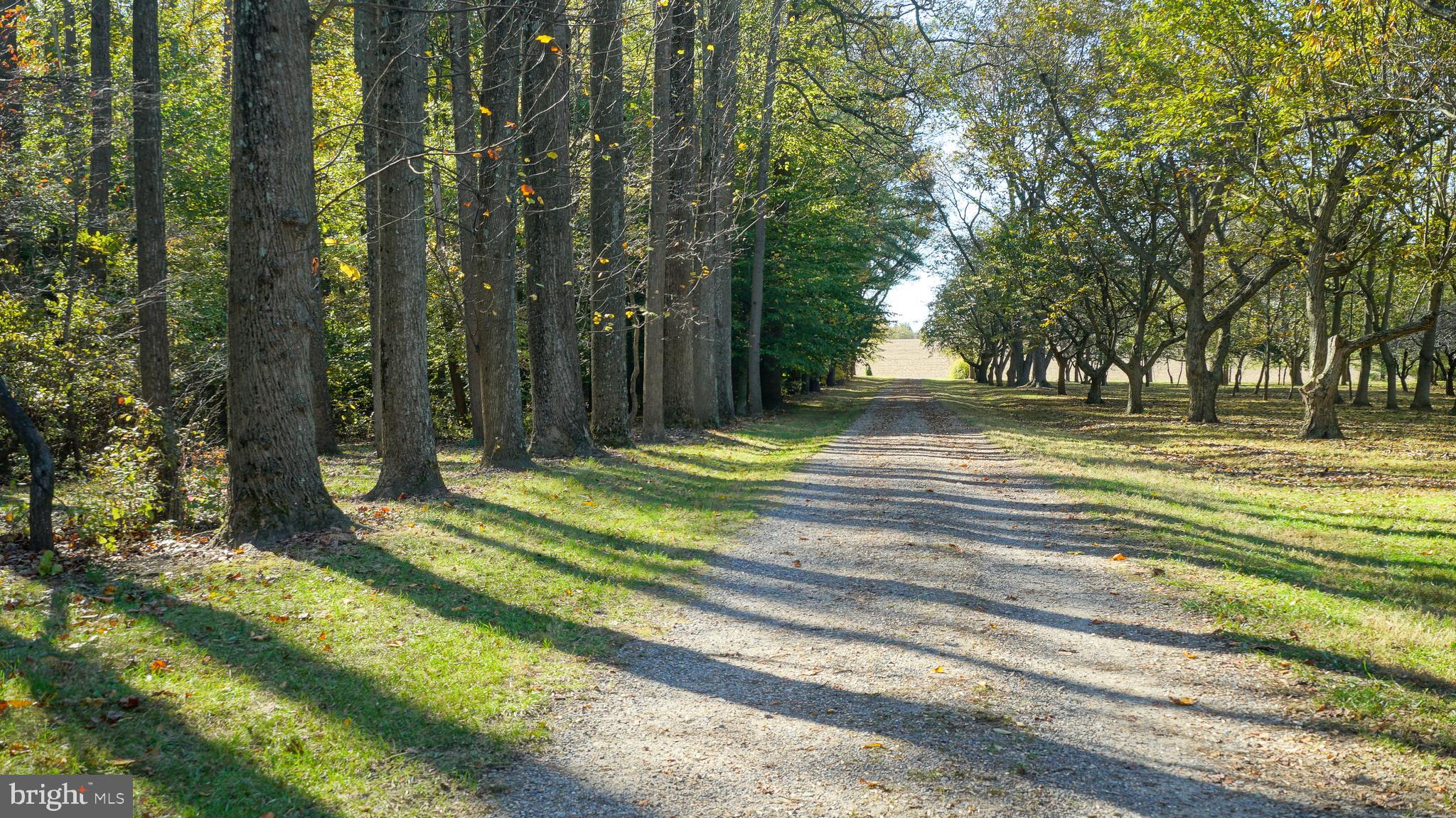KENTMORE PARK - Residential